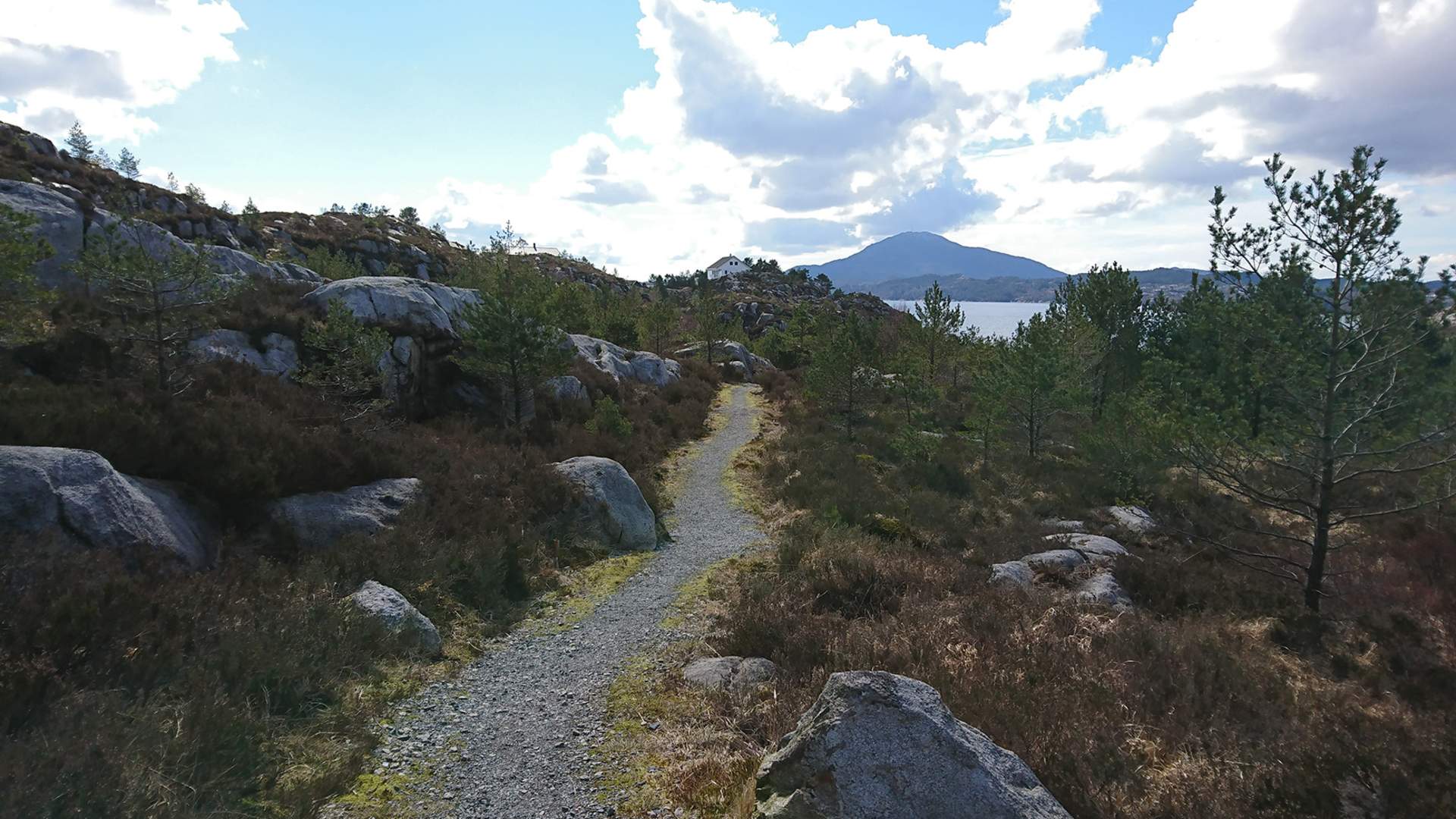 Klatrejungel ved tursti i Dåfjorden