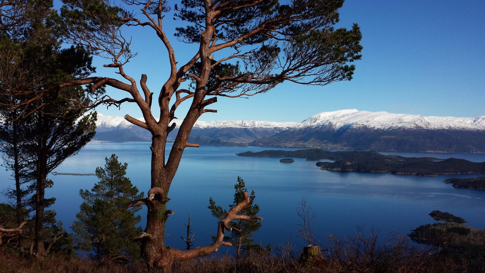 Tur Nyabruo - Blåbærhaugen