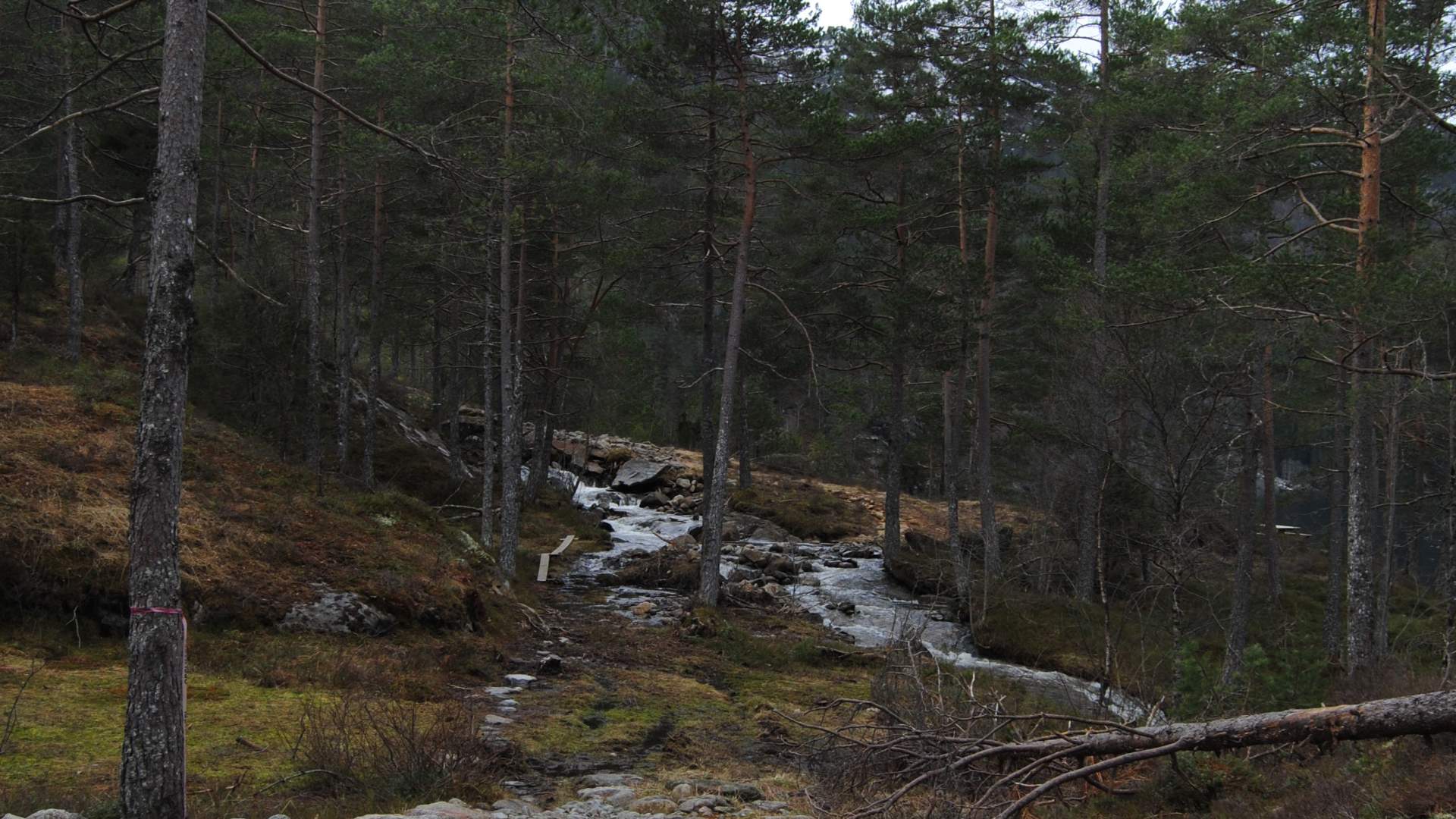 Around Rullestadvatnet lake