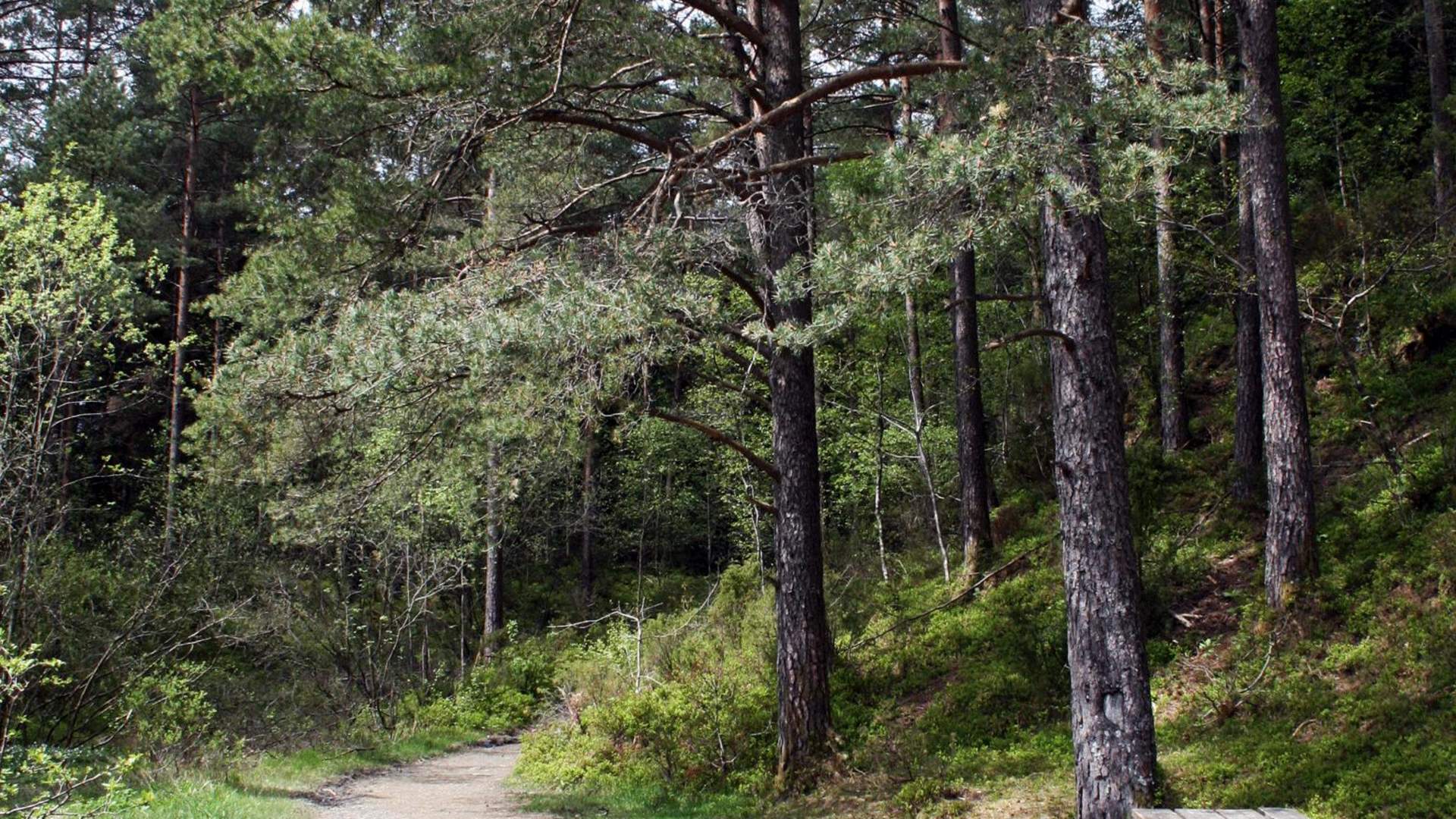 Sykkelrute Landåsen turområde (4,5 km)