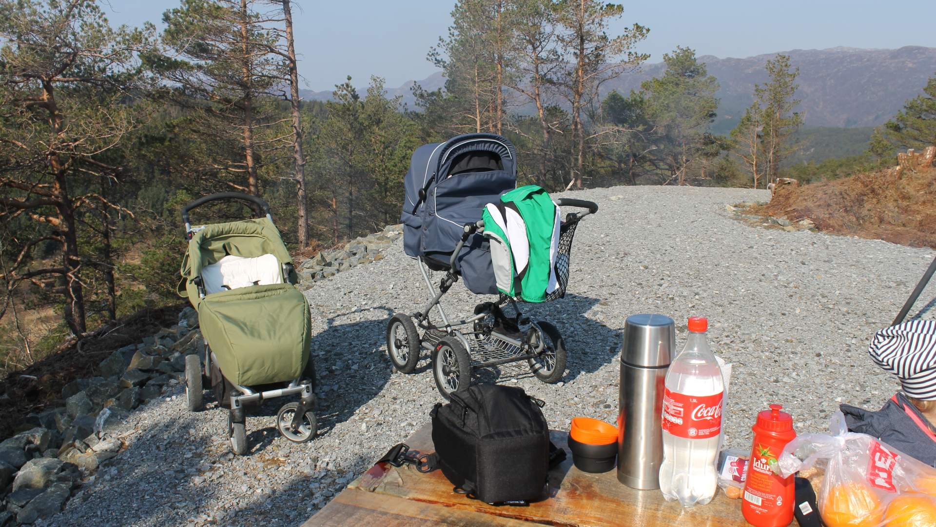 Tur Nyabruo - Blåbærhaugen