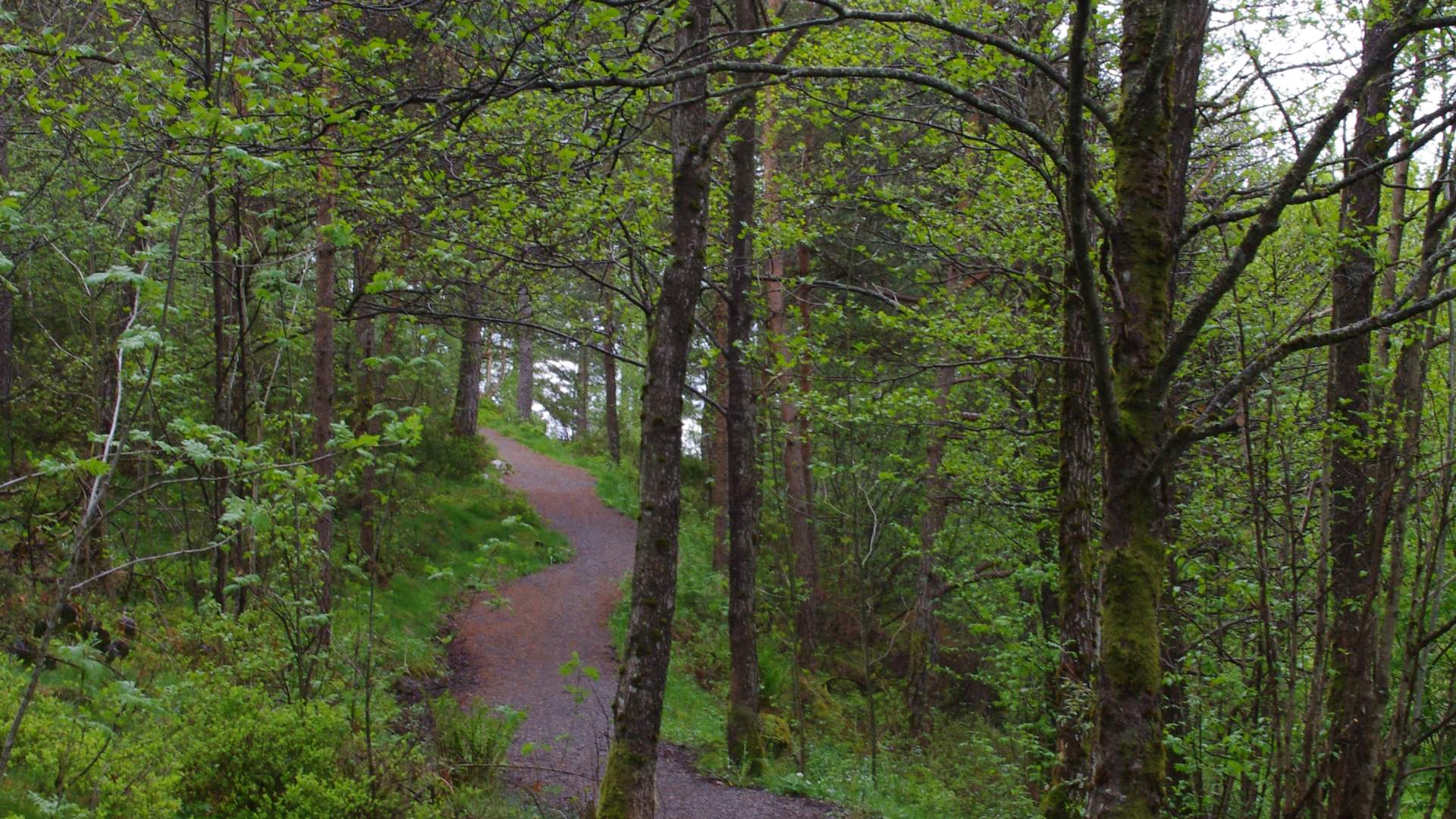 Roundtrip: Leirvik - Fjellgardane (20km)