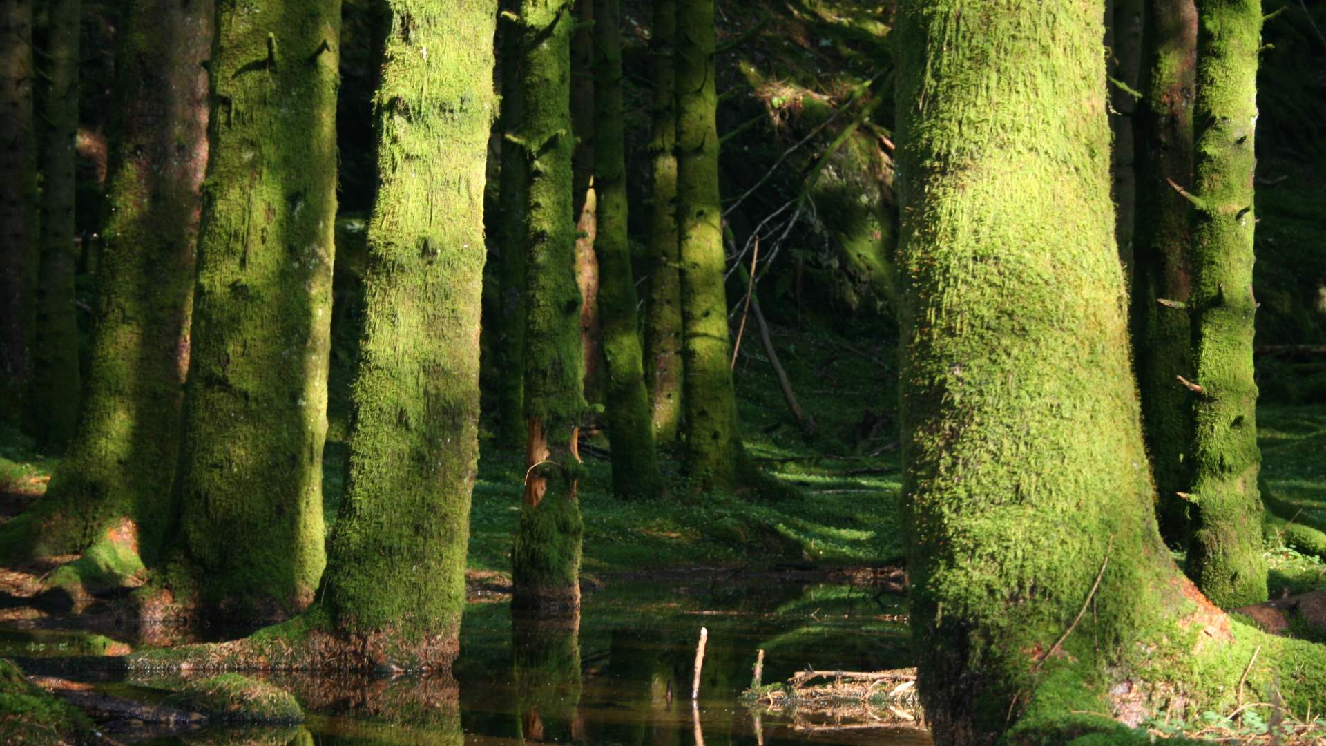 Rundwanderung bei den Gruben von Litlabø