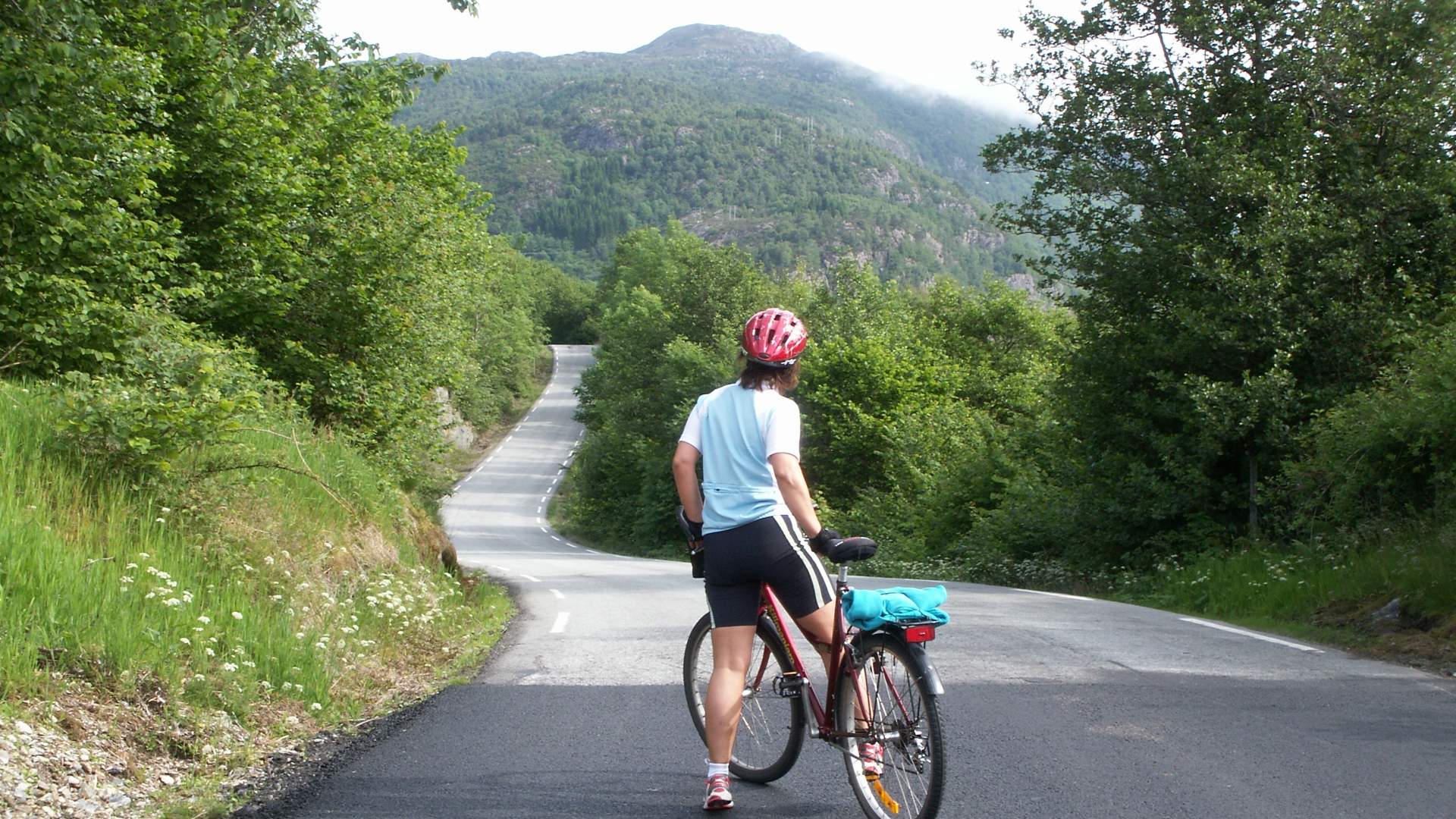 Tysnesruta sykkelrute (71 km)