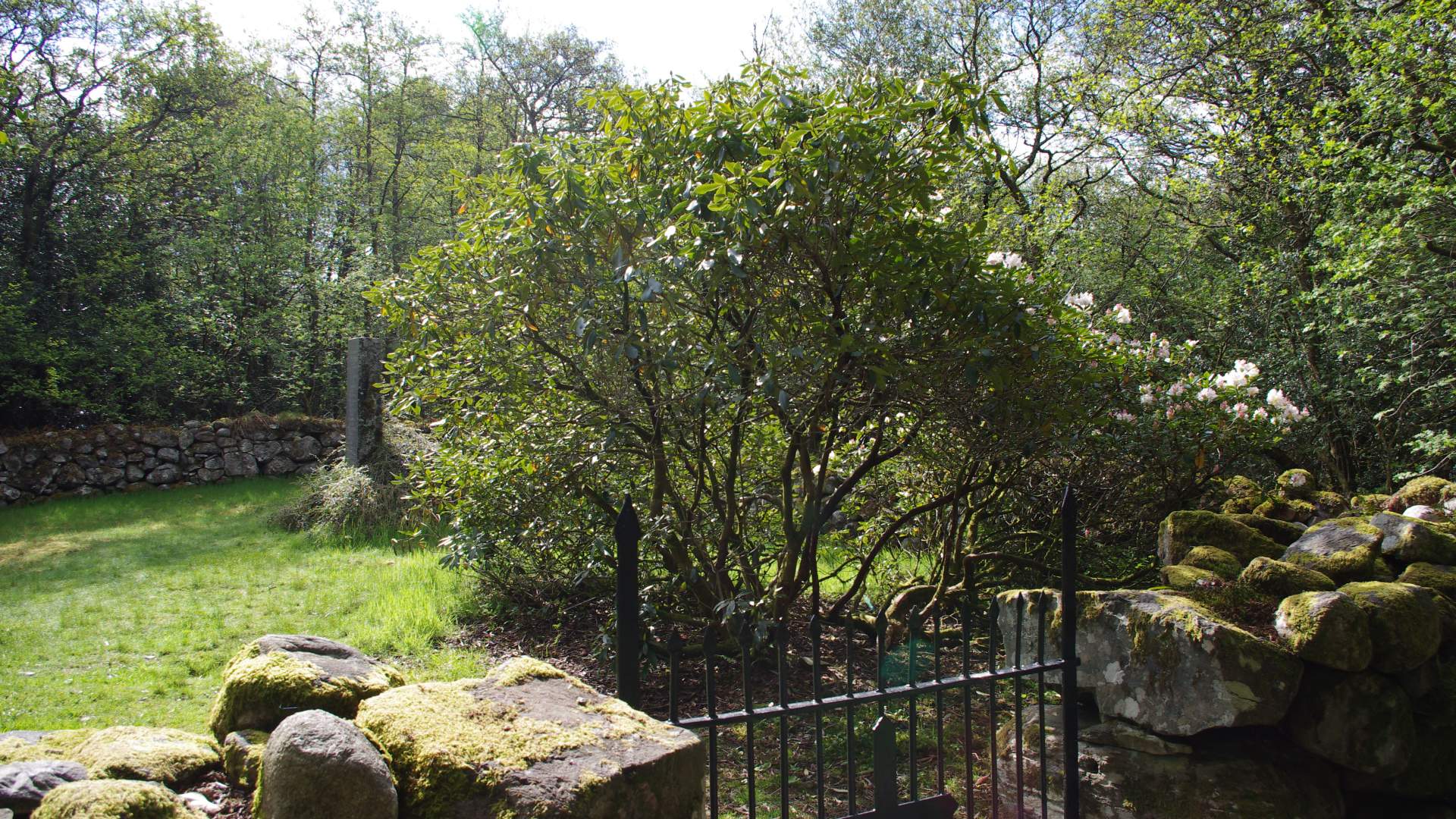 Roundtrip: Leirvik - Fjellgardane (20km)