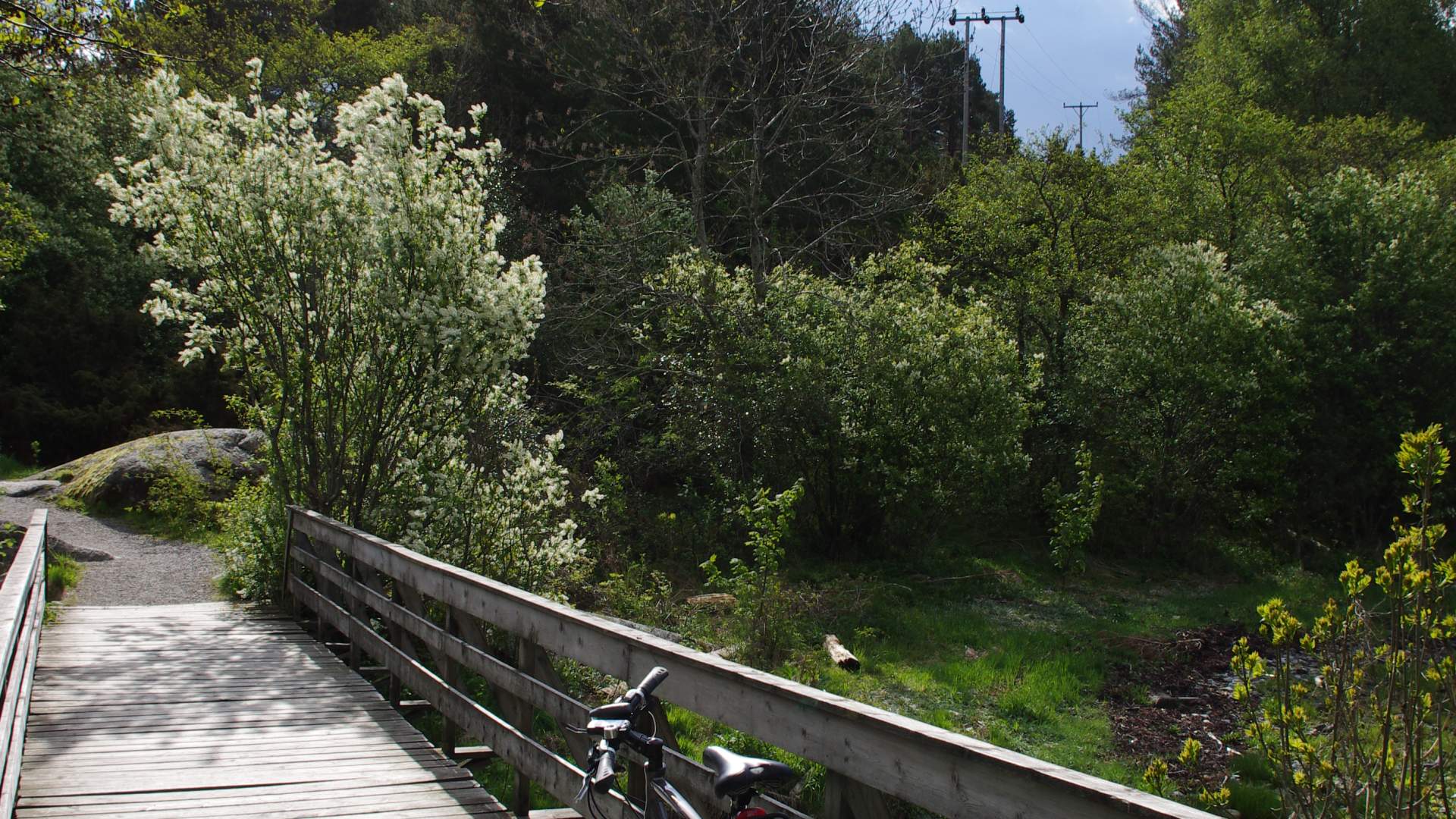 Roundtrip: Leirvik - Fjellgardane (20km)