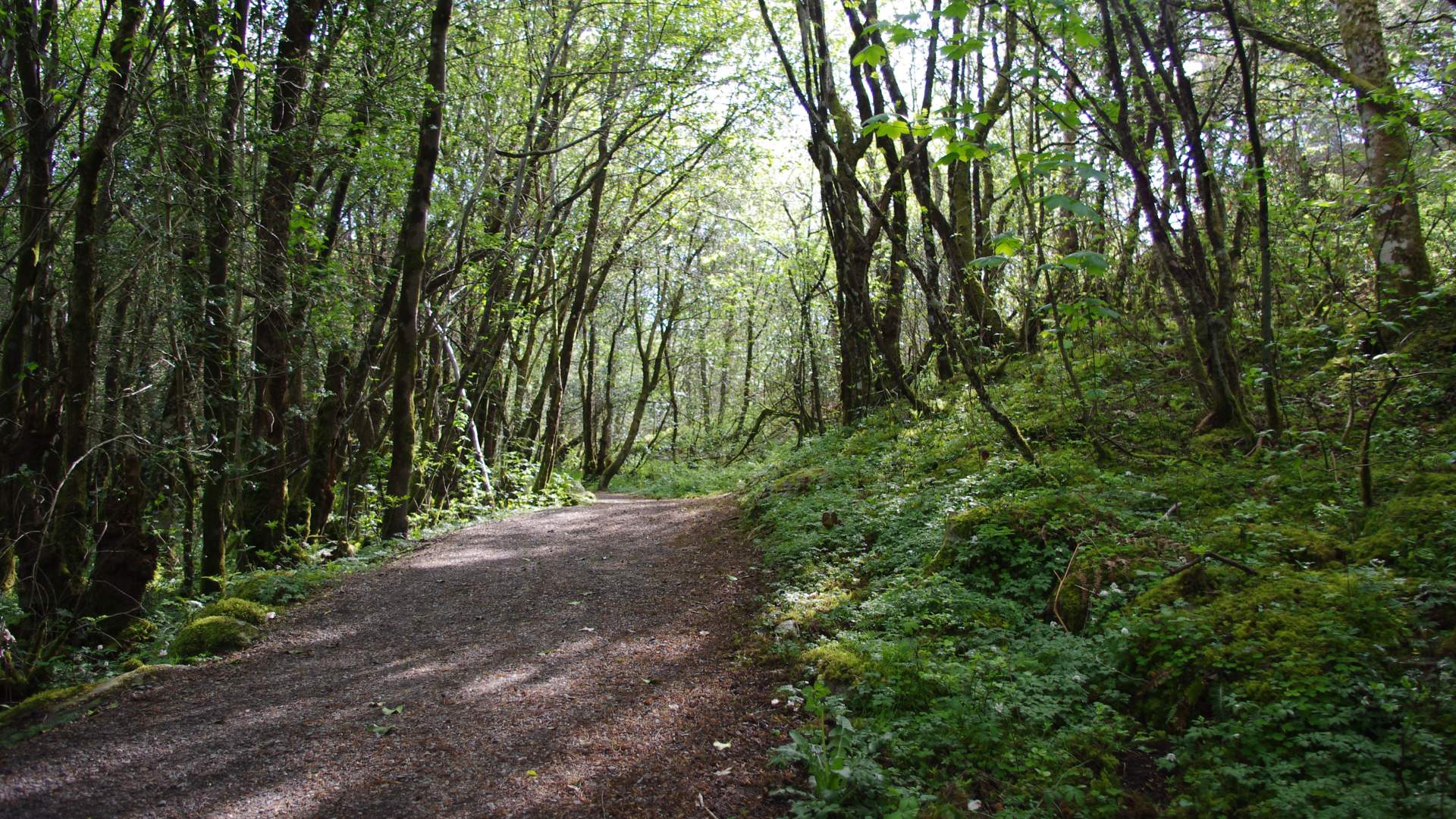Roundtrip: Leirvik - Fjellgardane (20km)