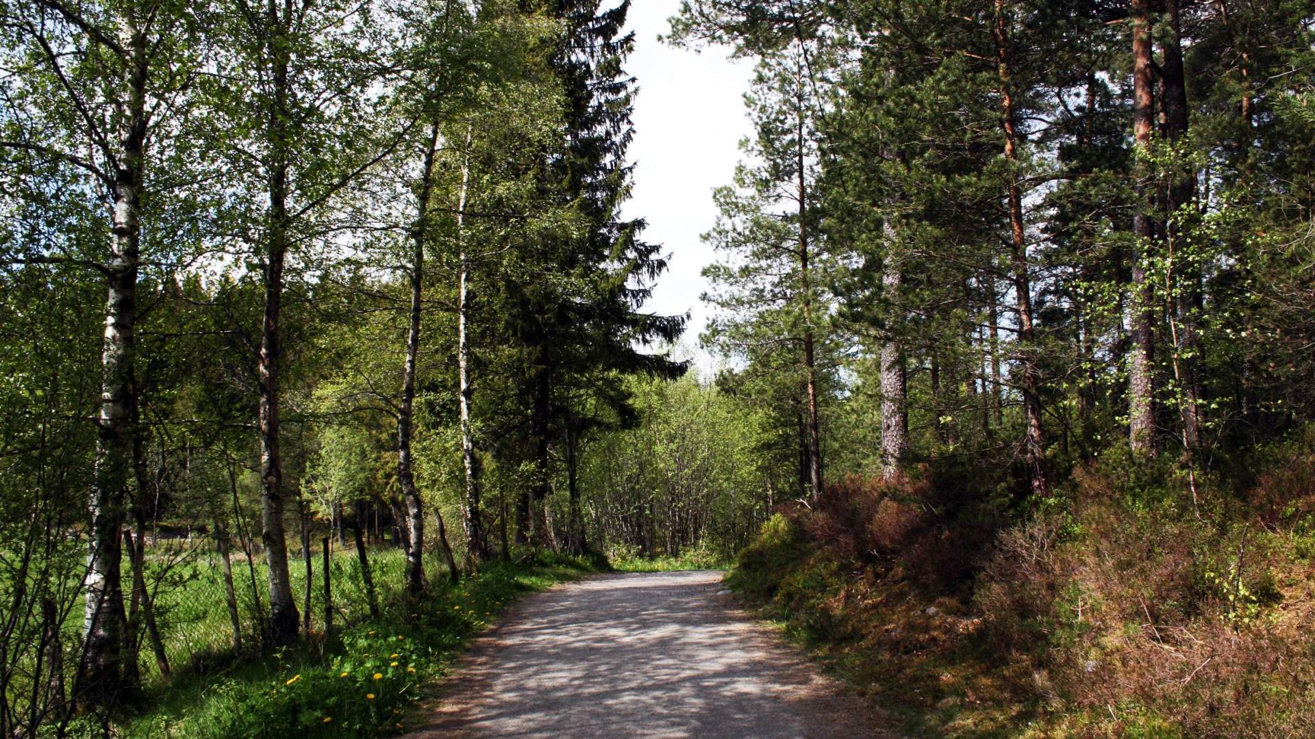 Sykkelrute Landåsen turområde (4,5 km)