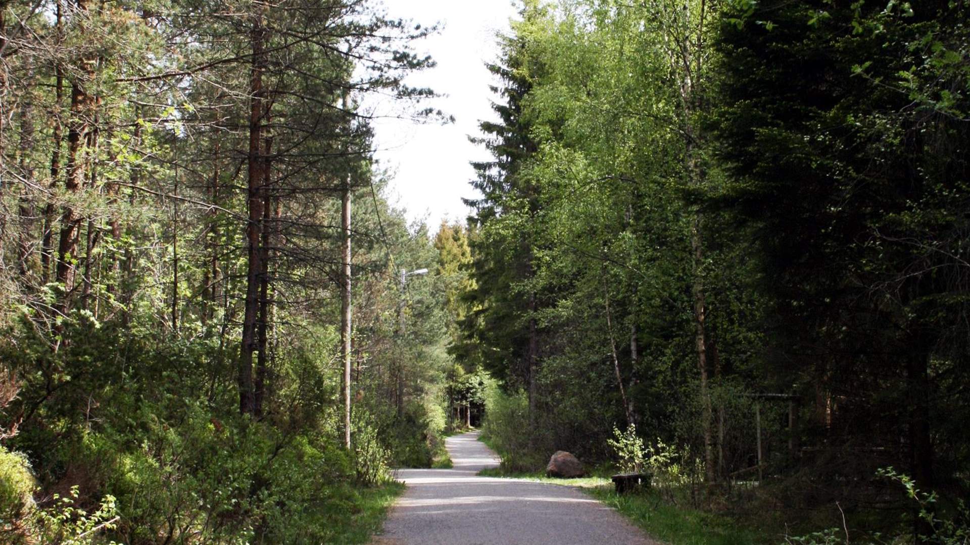 Sykkelrute Landåsen turområde (4,5 km)
