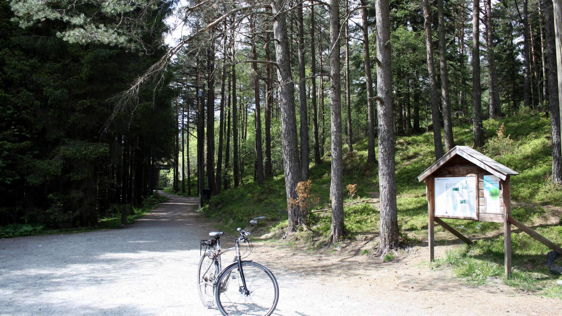 Sykkelrute Landåsen turområde (4,5 km)