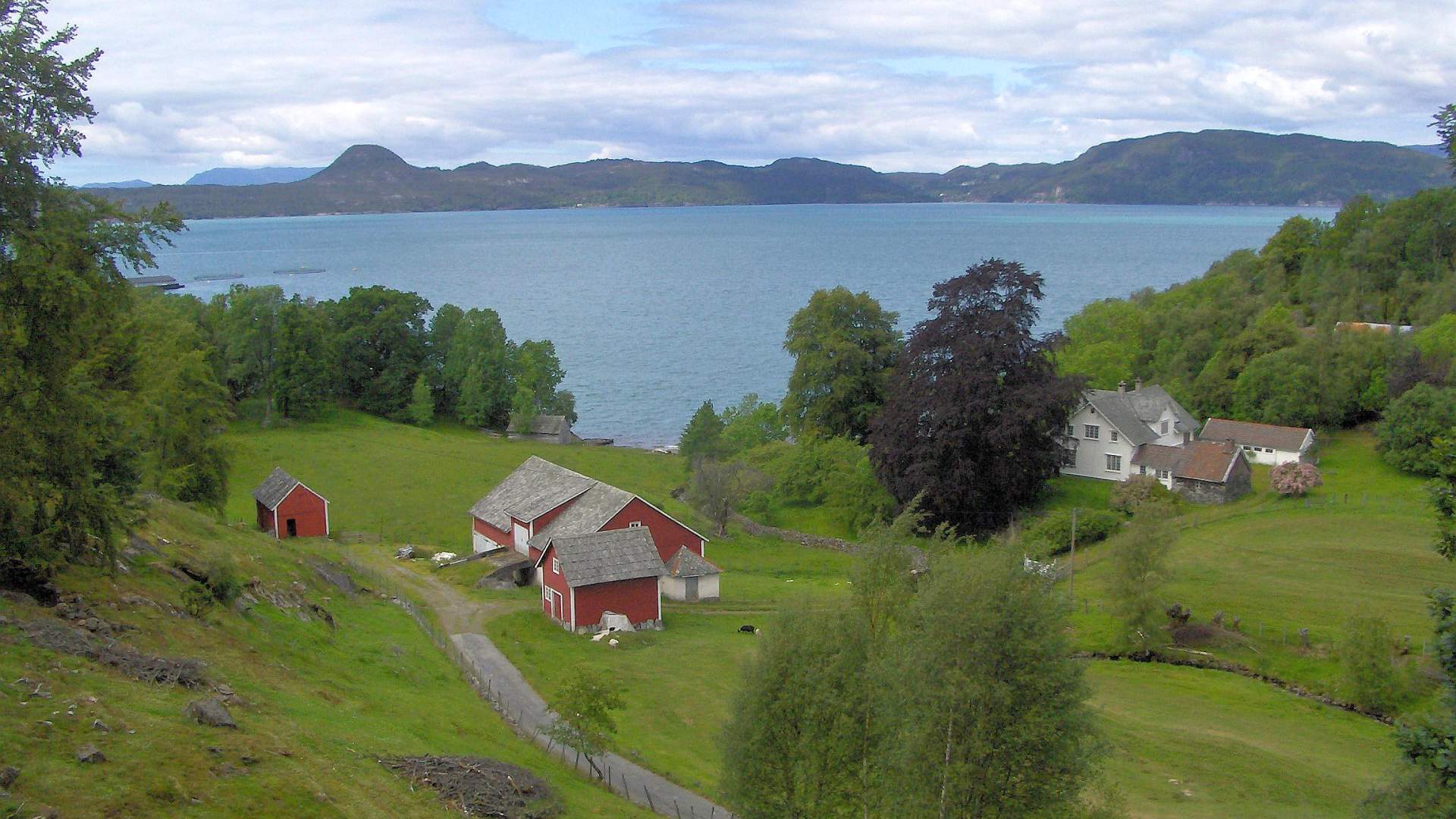 Cycling the fjords between the beautiful villages (27 km) (Skånevik - Etne)