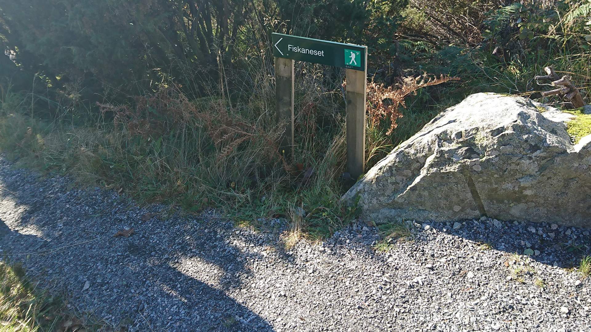 Klatrejungel ved tursti i Dåfjorden