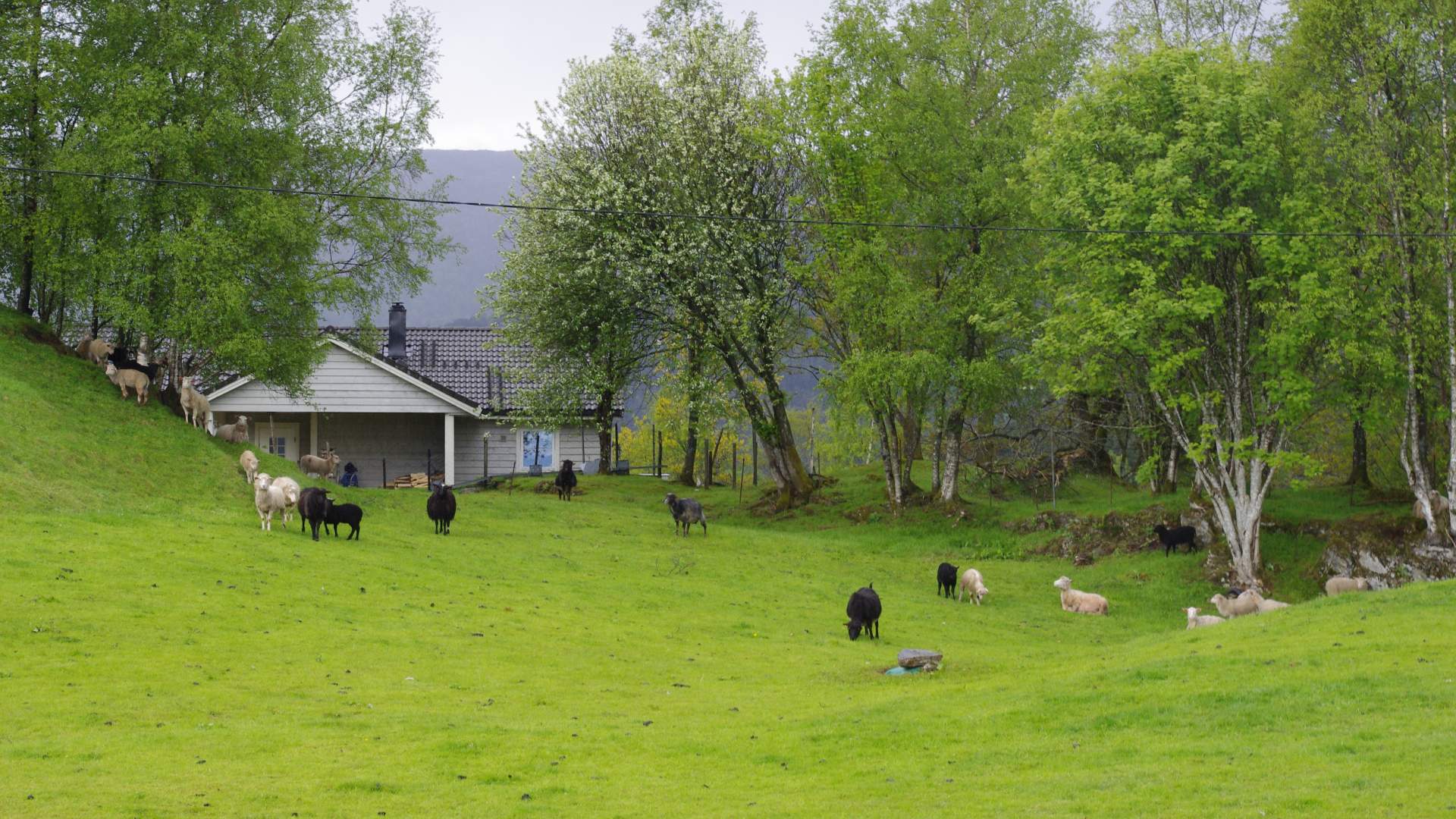 Roundtrip: Leirvik - Fjellgardane (20km)