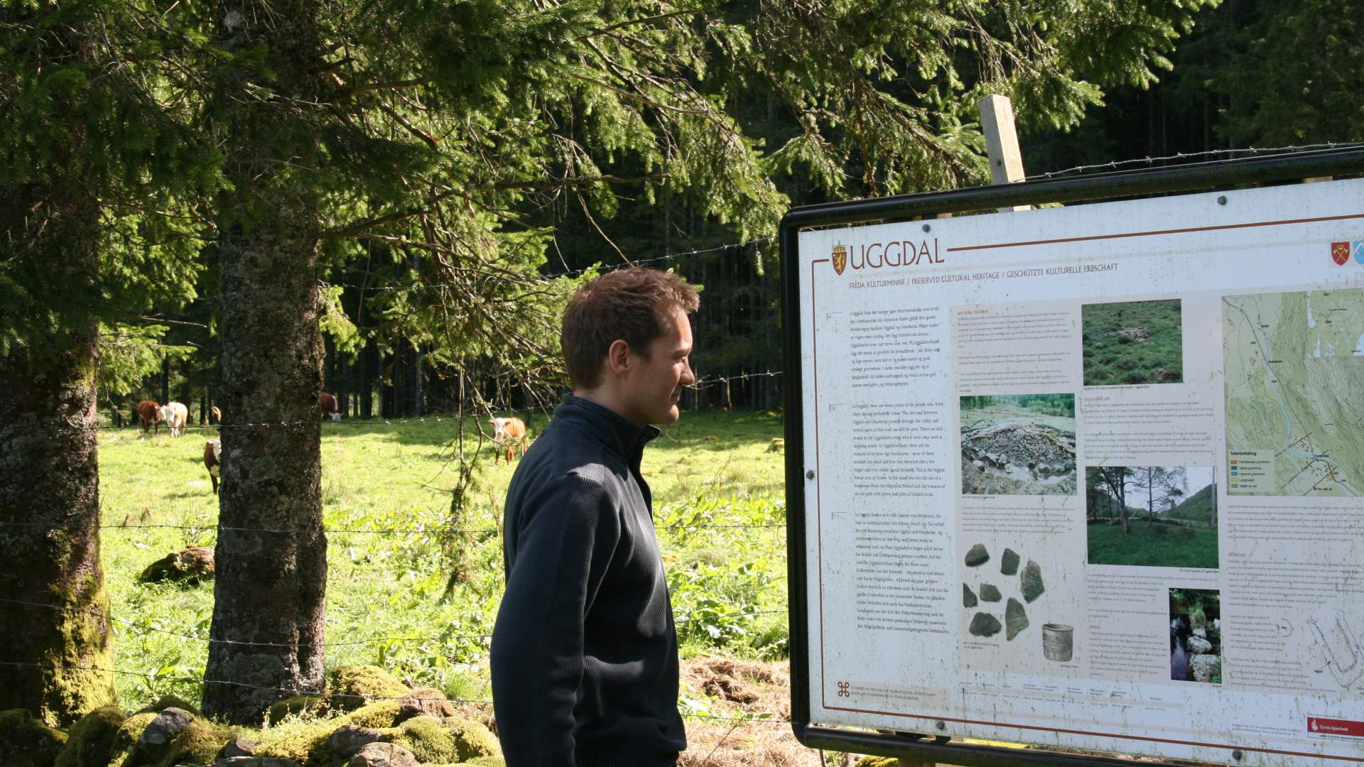 Rundtur på sykkel på Tysnes
