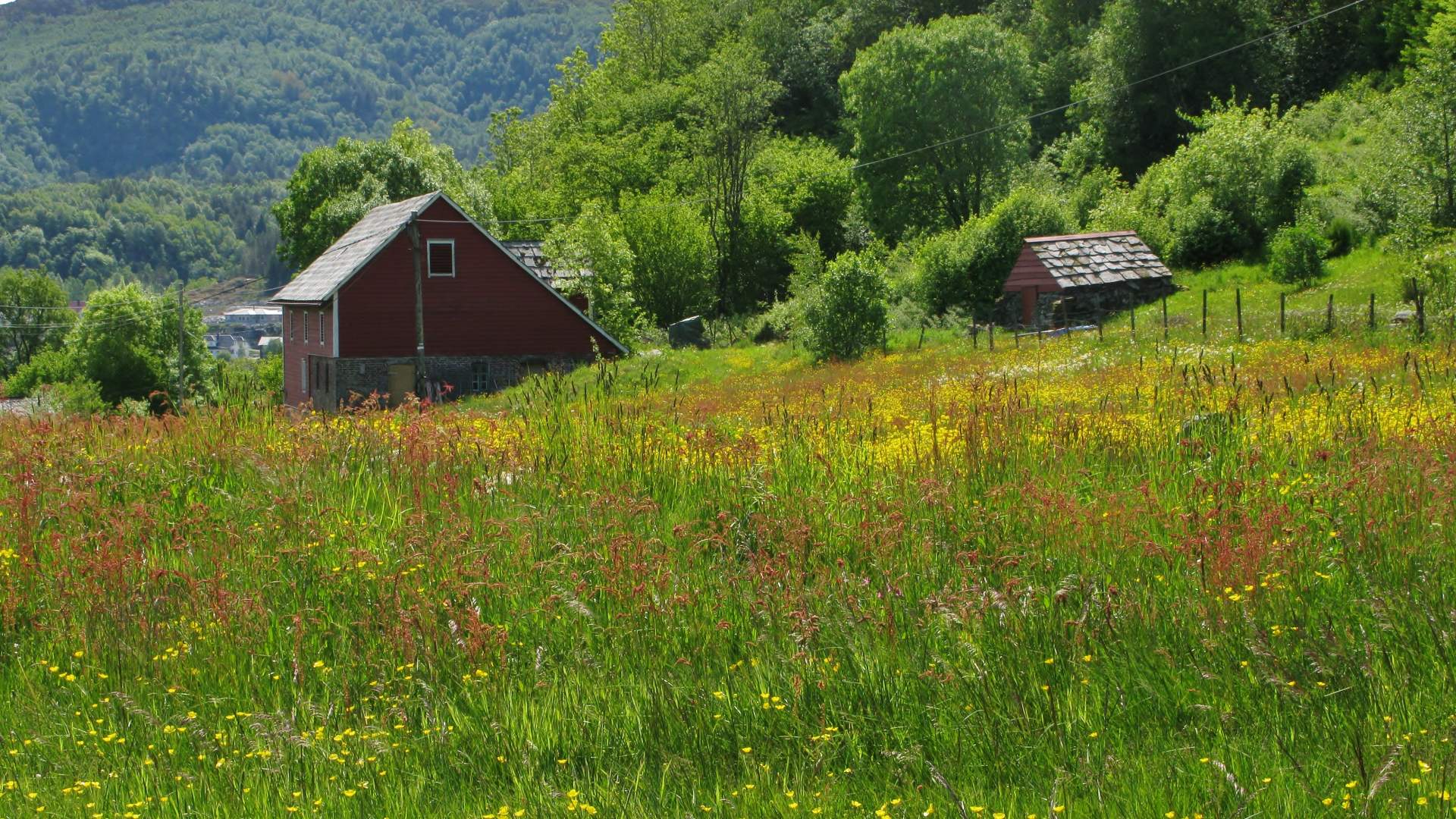 Tur til Indre Ve - Korsfjorden