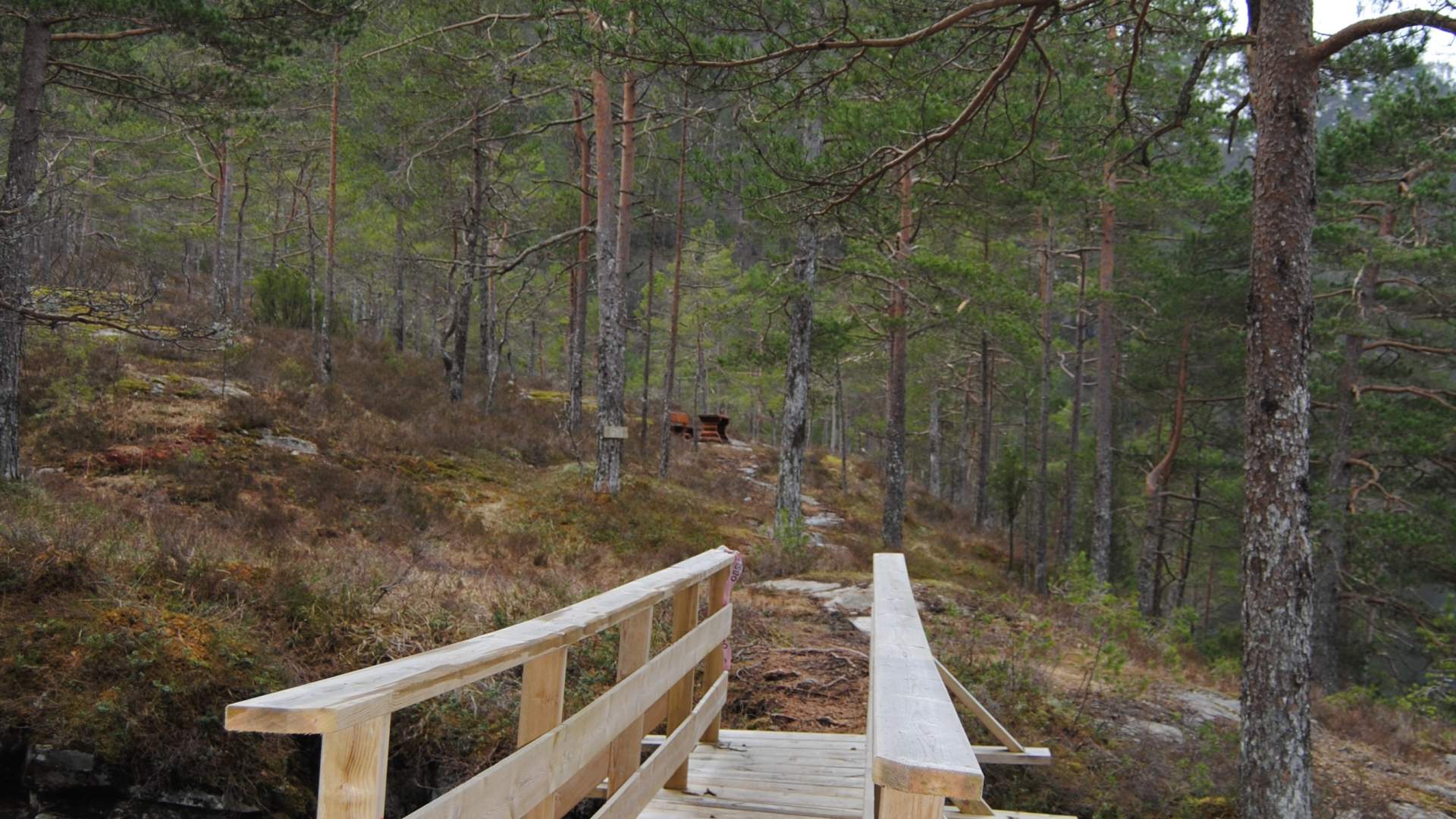 Around Rullestadvatnet lake