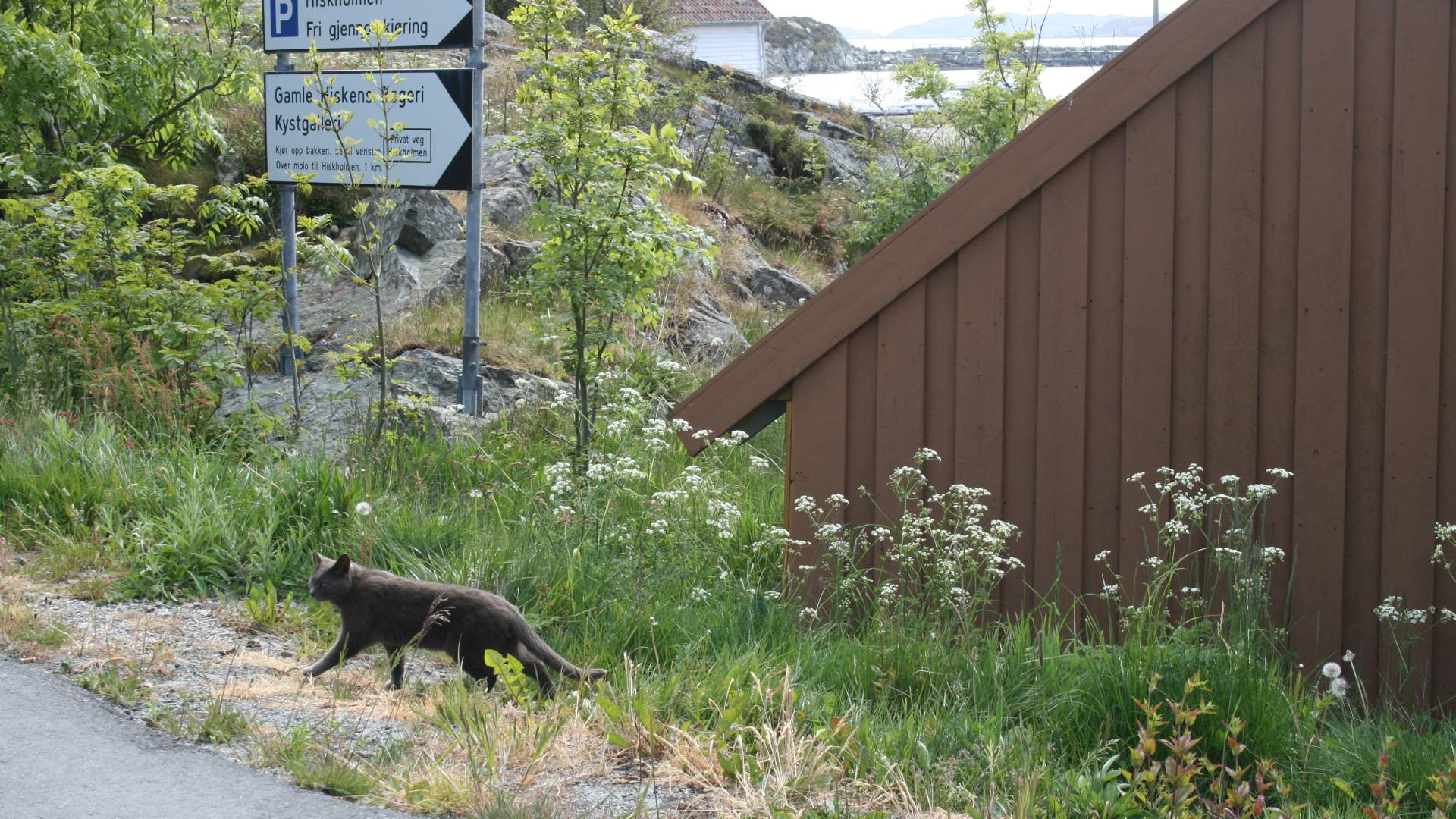 Sykkeltur Svortland - Hiskjo (23,5 km.)