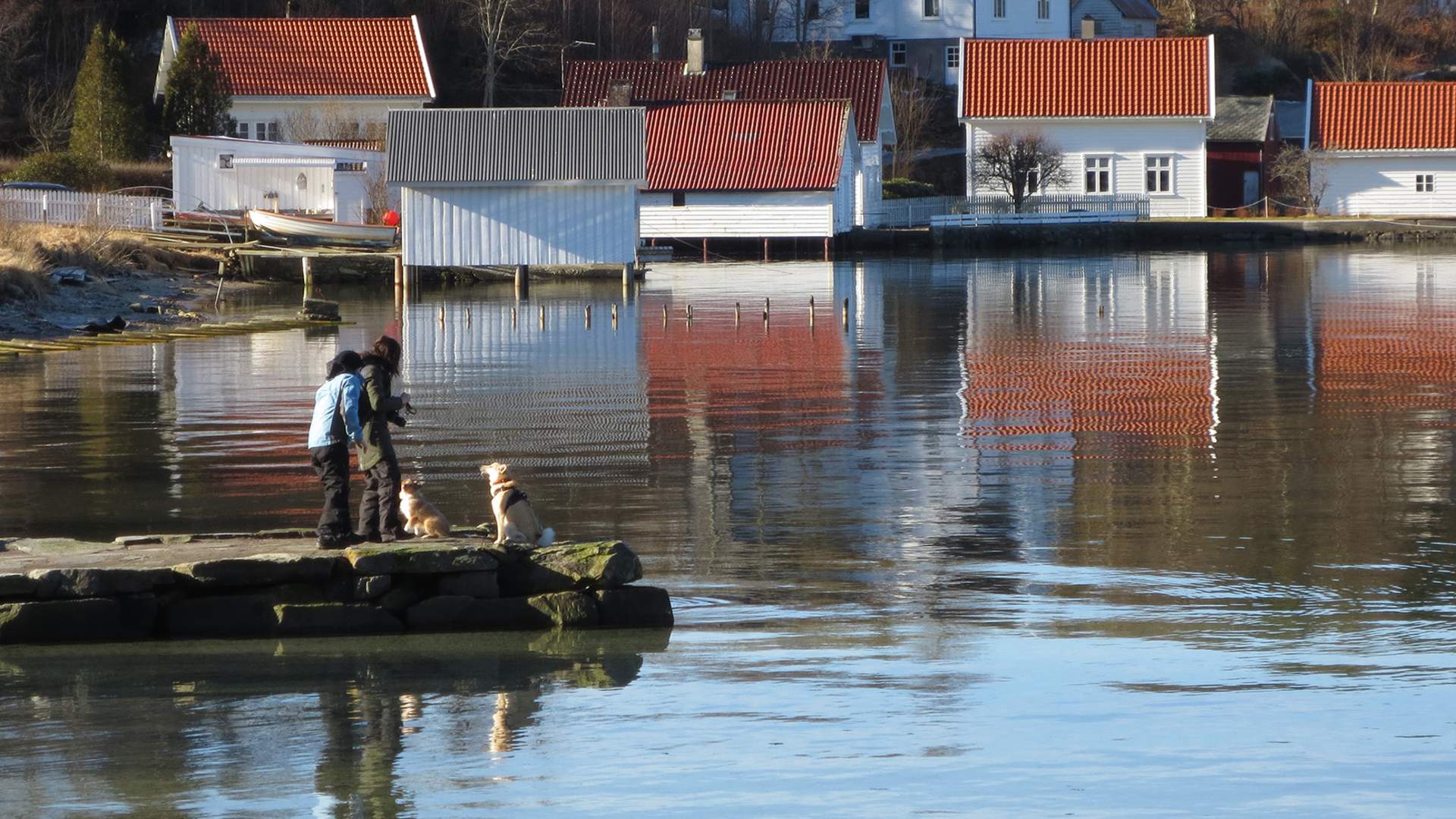 Rex Garden - Rhododendronpark