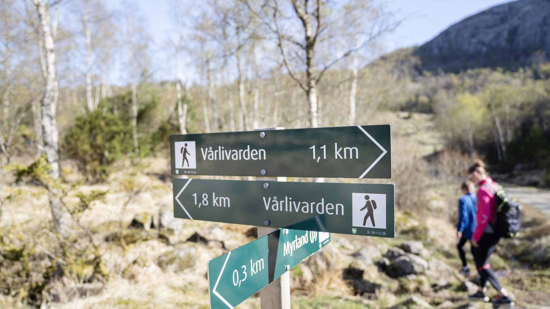 Vårlivarden