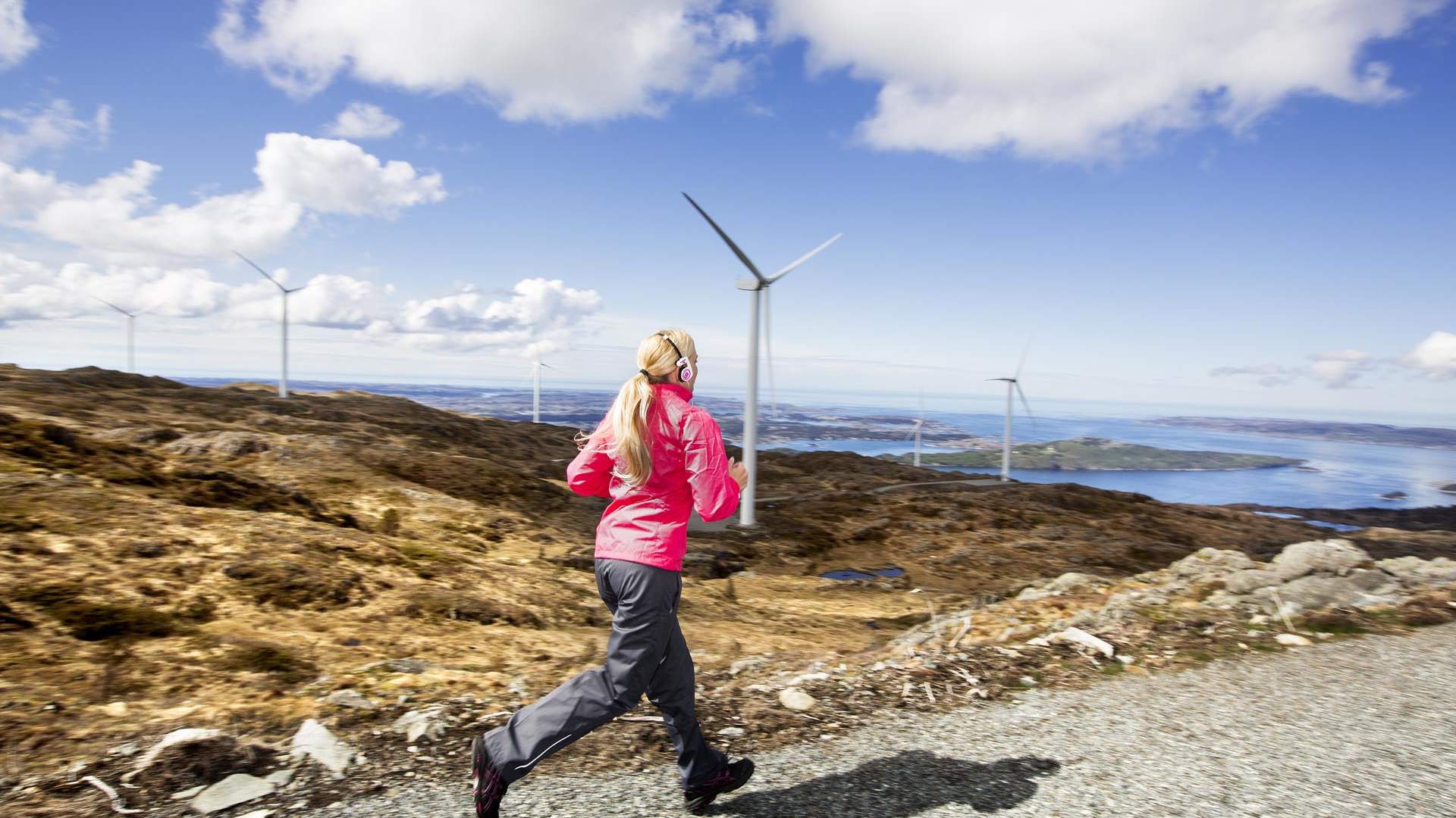 Midtfjellet Windpark