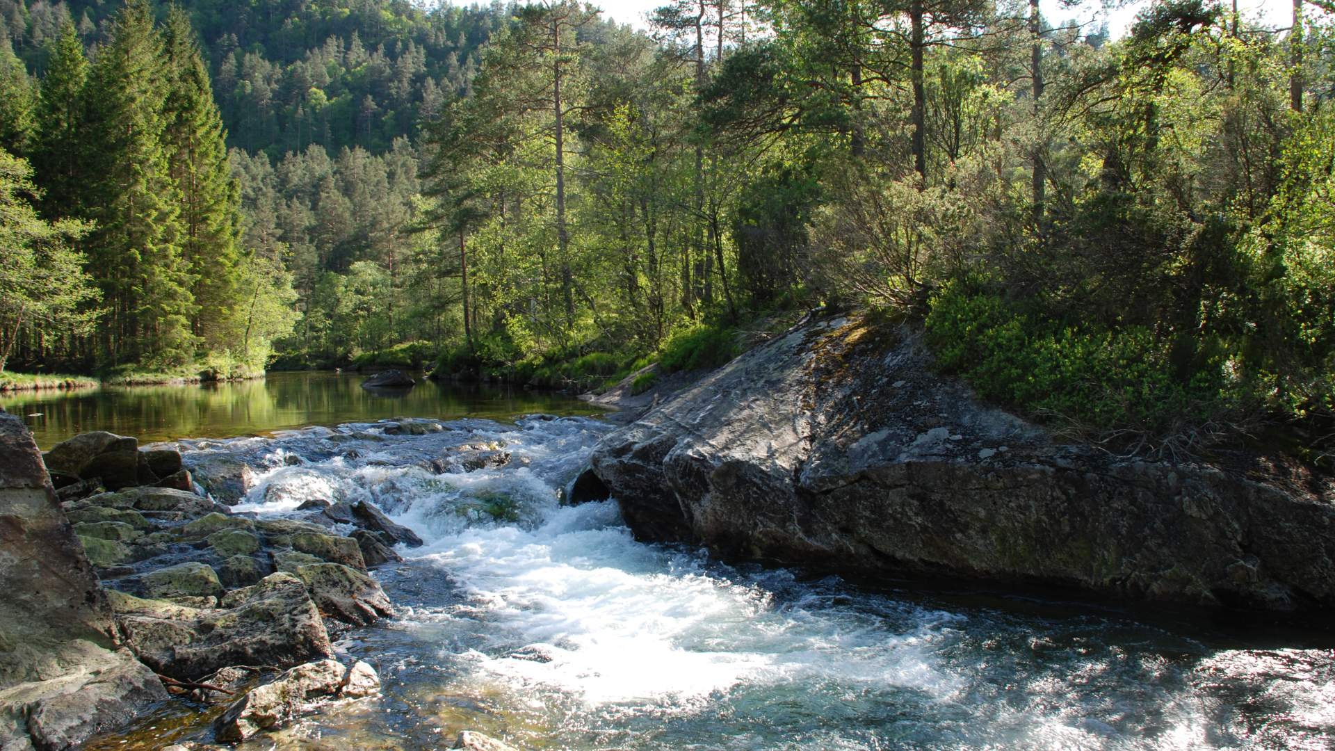Tursti i Handelandsdalen