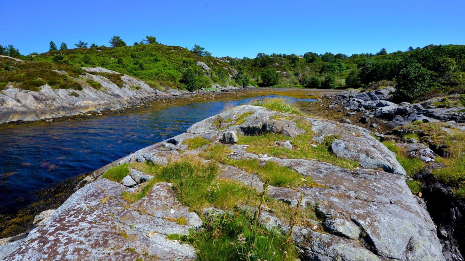 Sandtorv friluftsområde