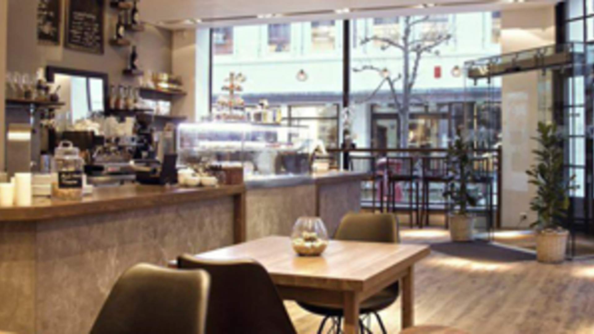 Racoon Coffee & More