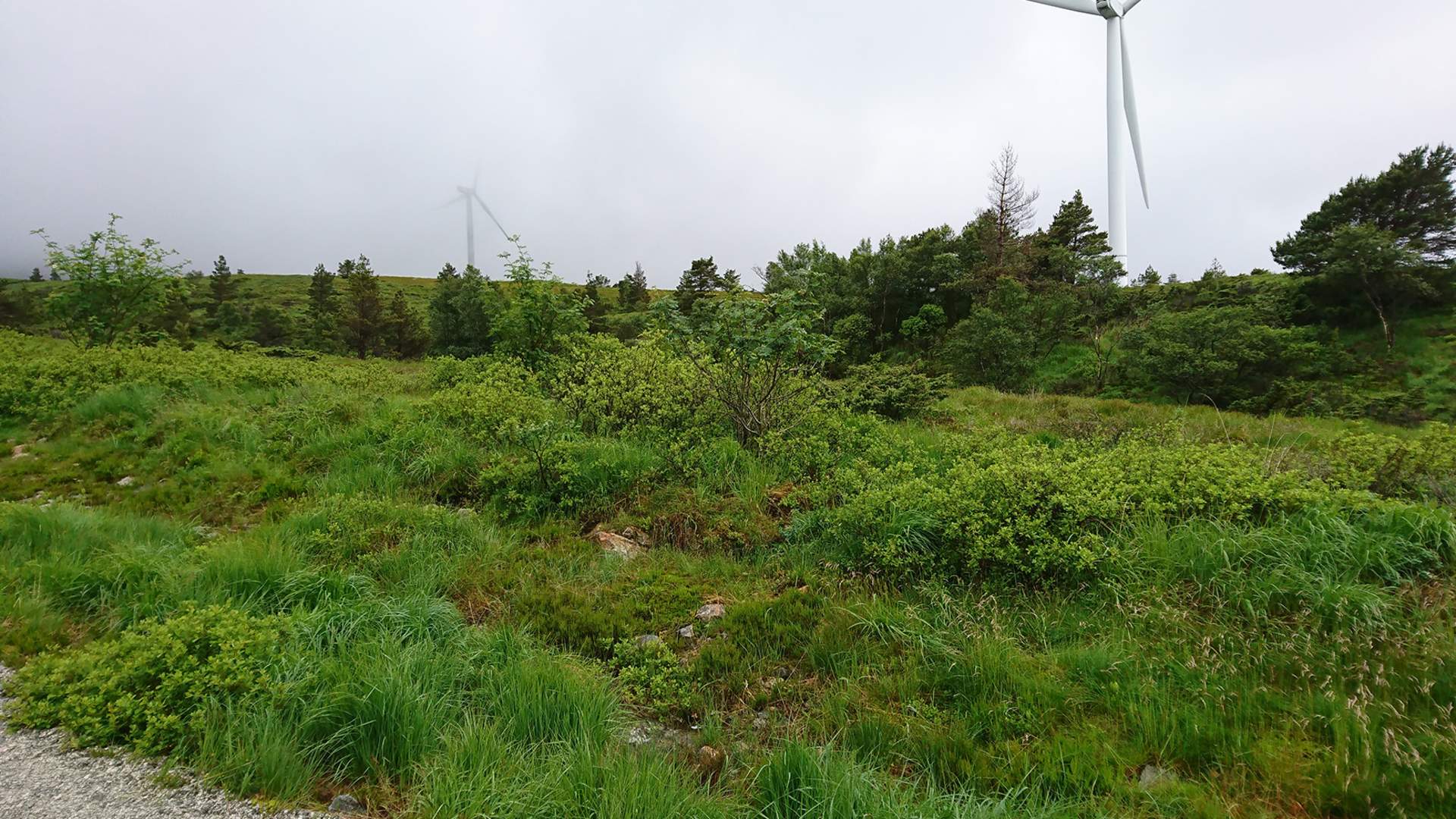 Midtfjellet Windpark
