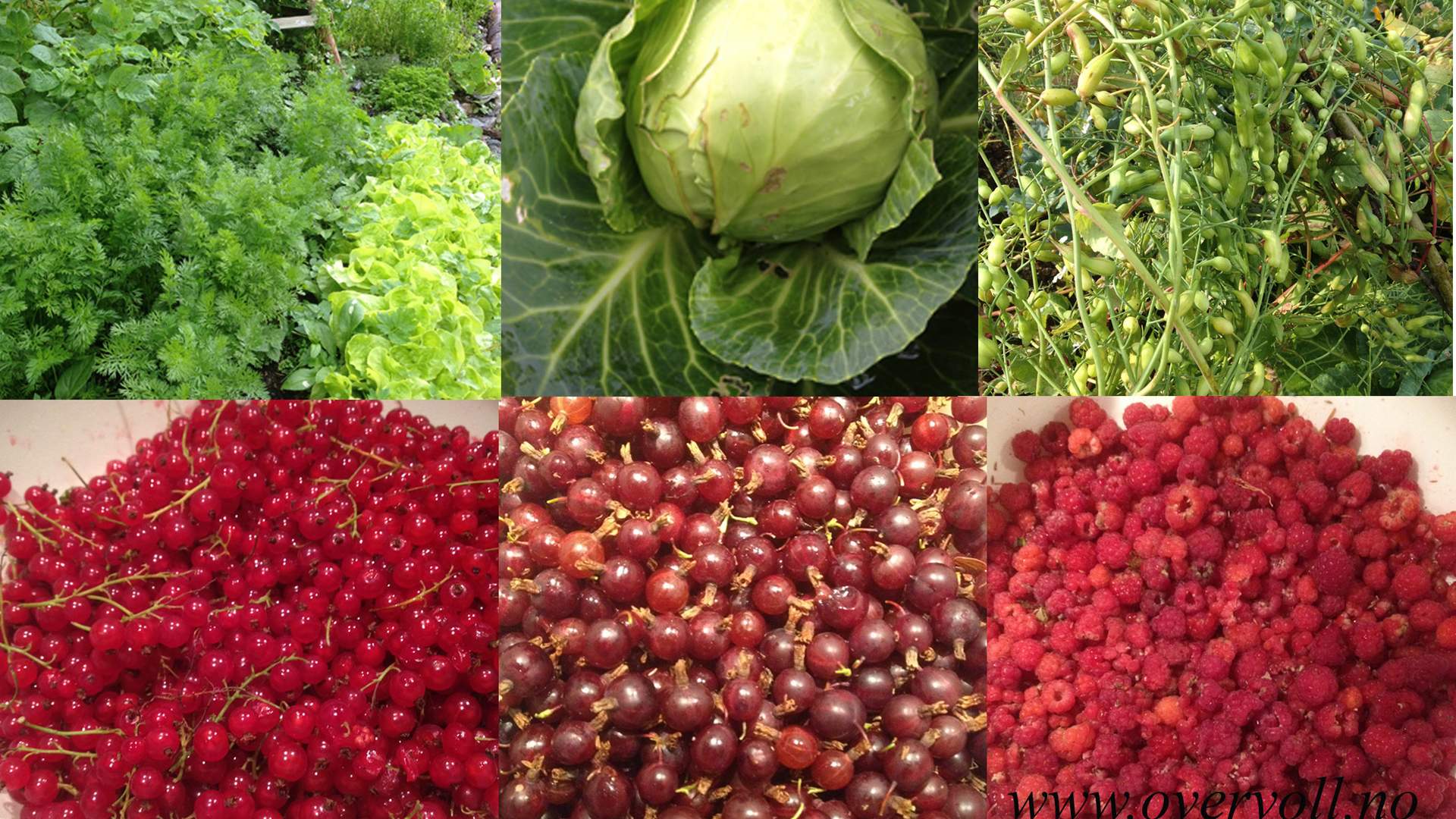 Overvoll Retreat og Aktivitetssenter