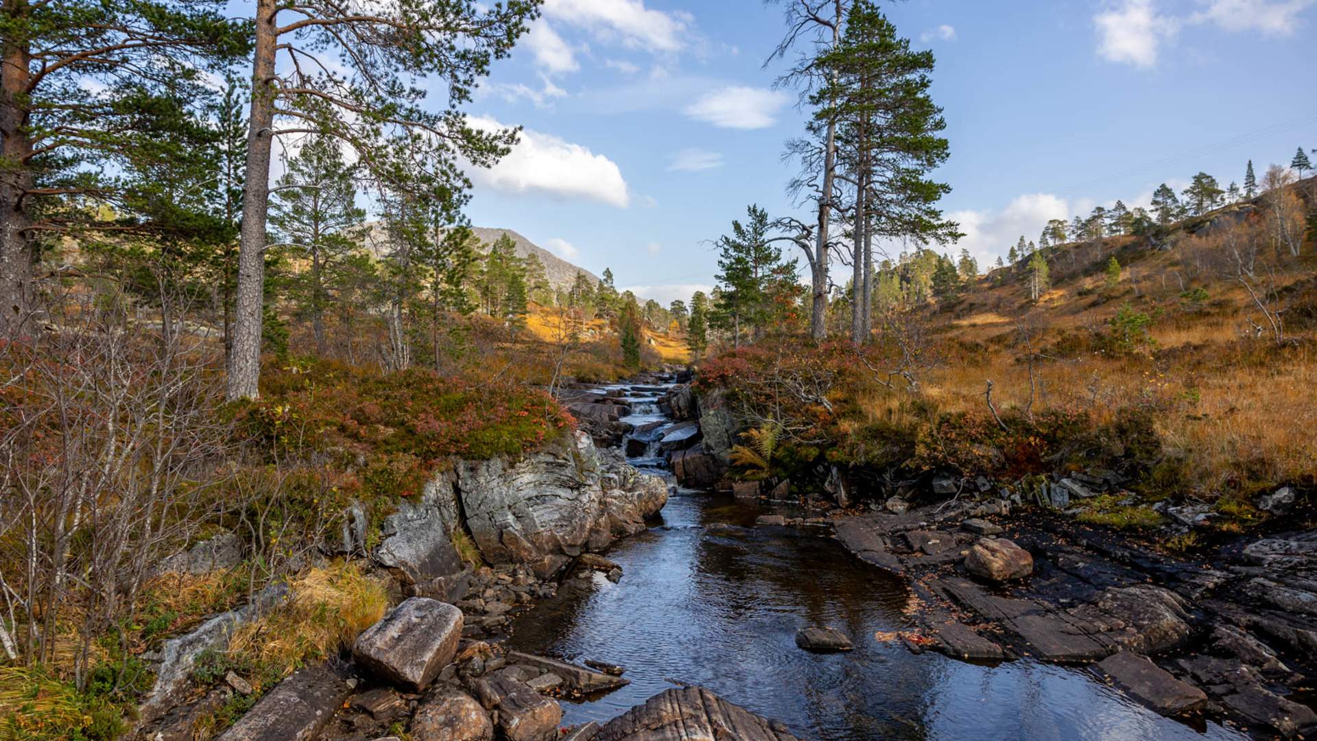 DNT Sætersetra Mountain Lounge