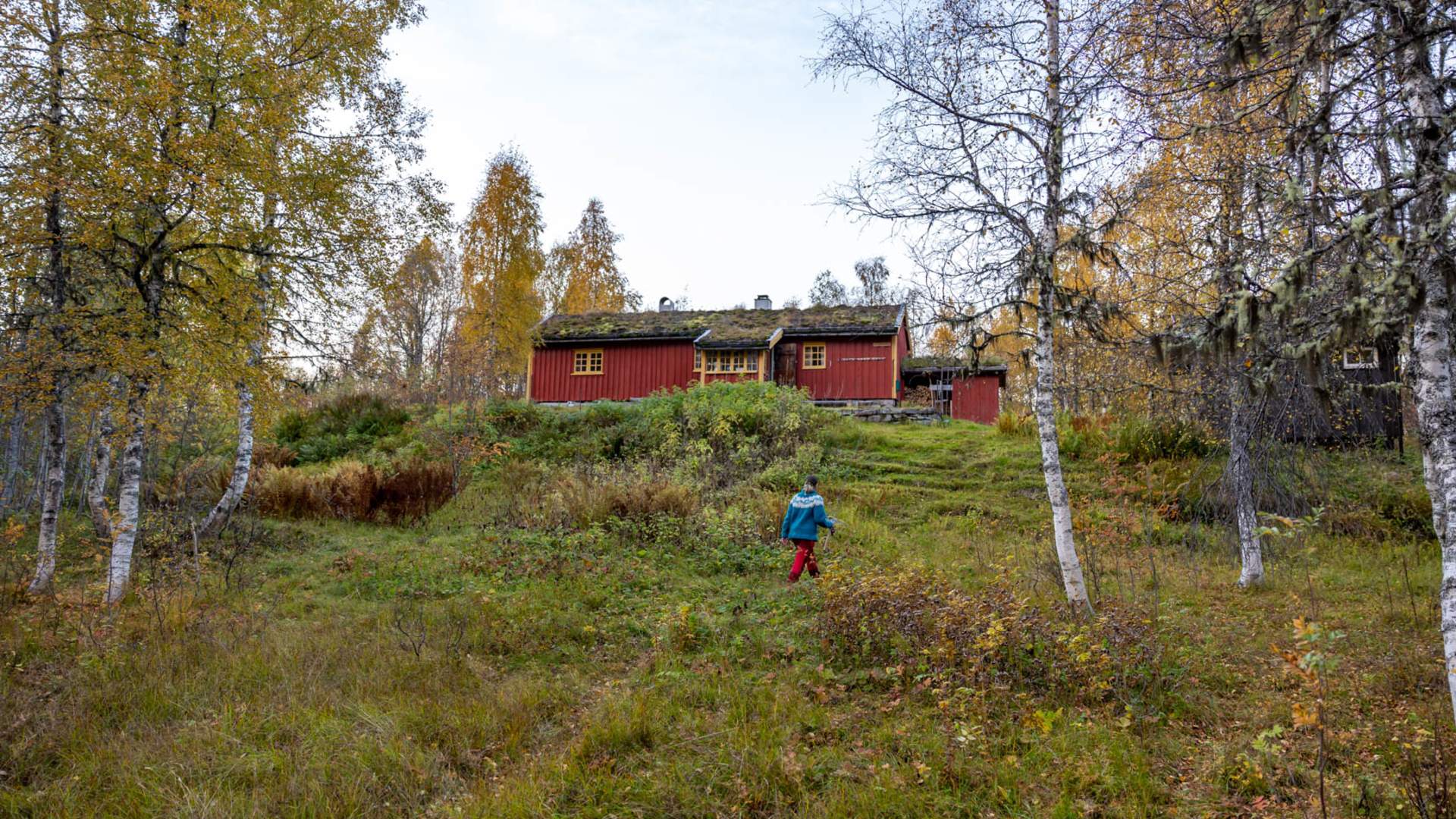 DNT Sætersetra Mountain Lounge