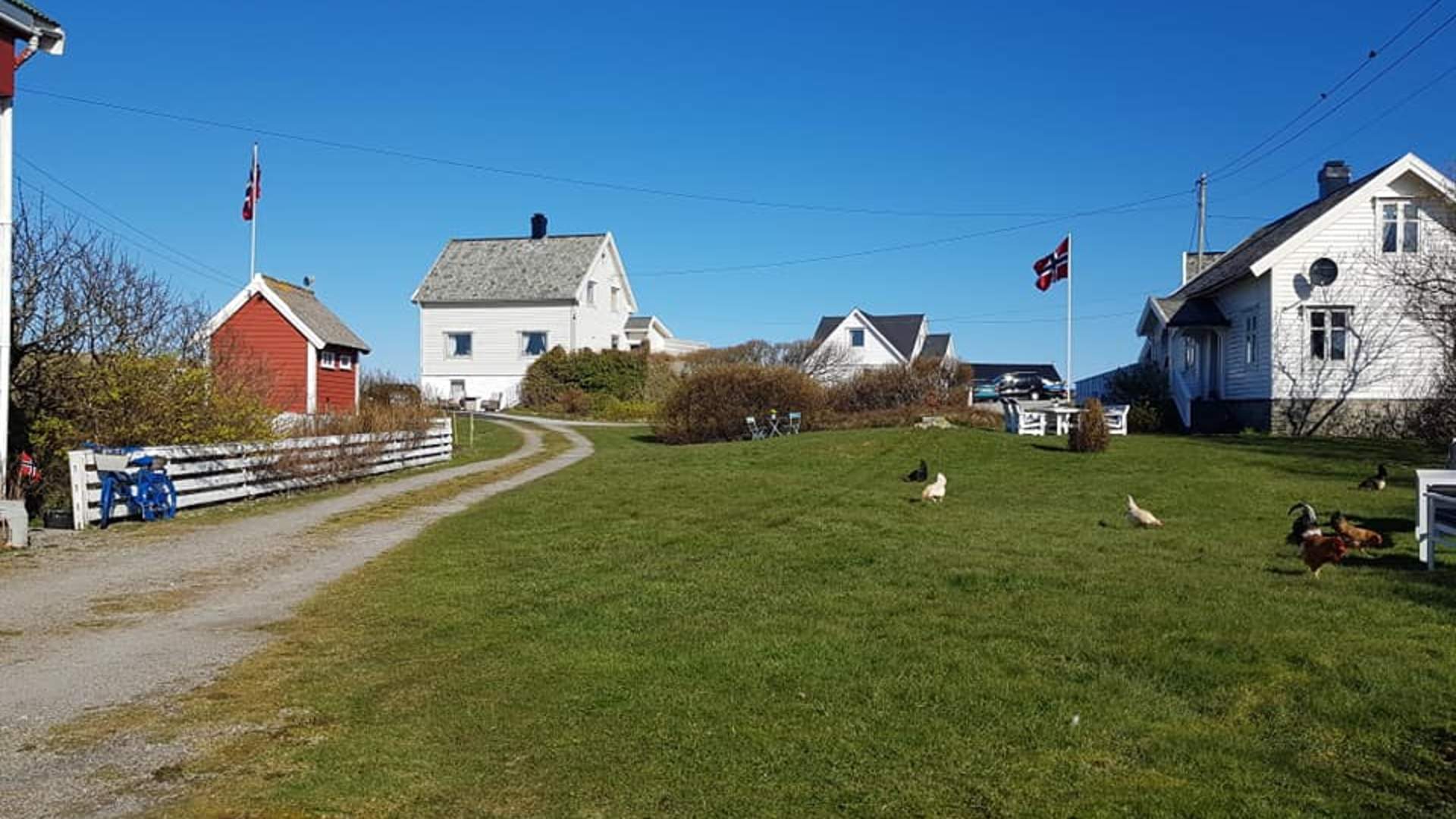 Gamlestaua, Bualemmen, Hoystaalet - Liv og Lyst