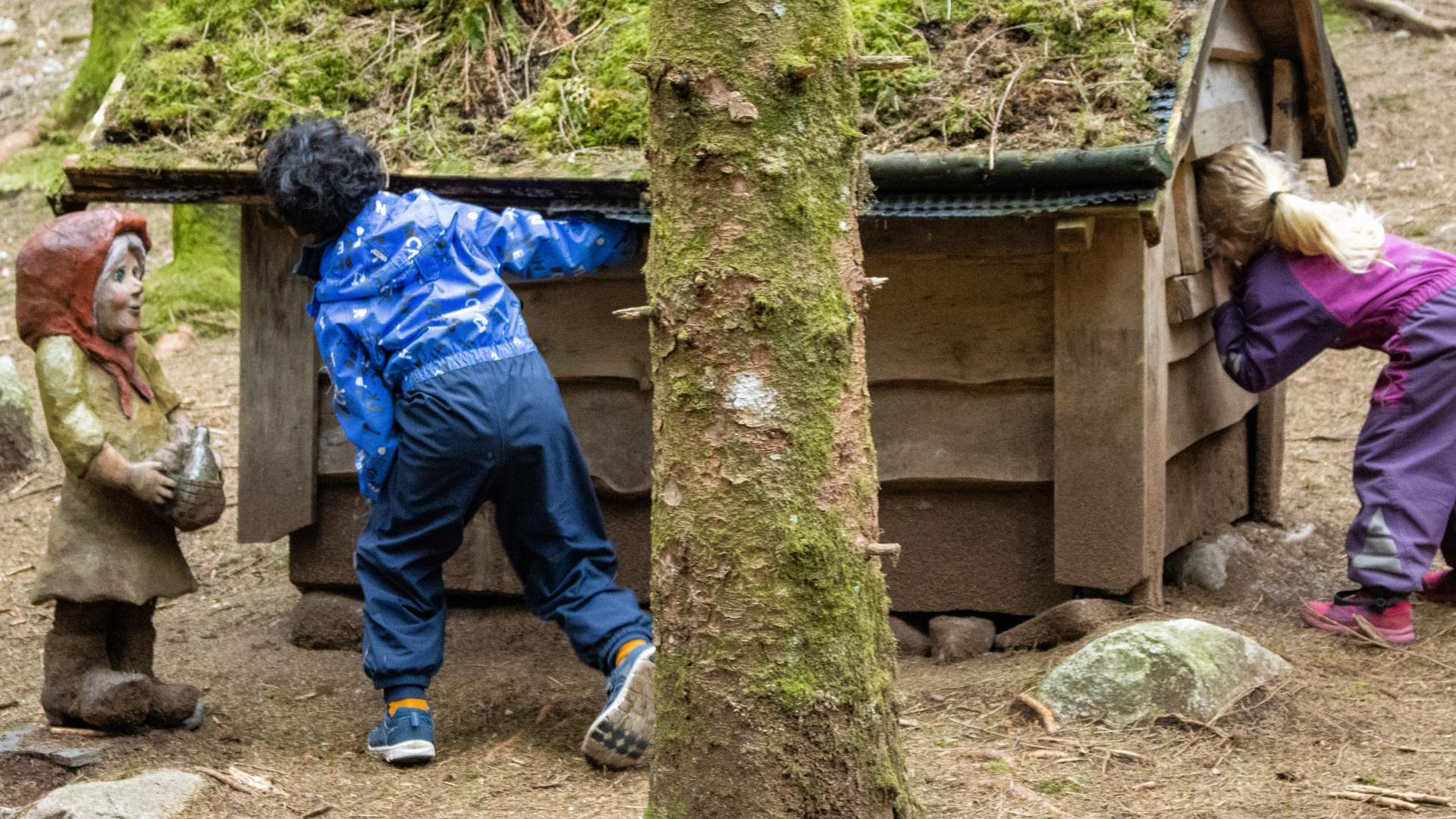 Eventyrskogen i Årdal