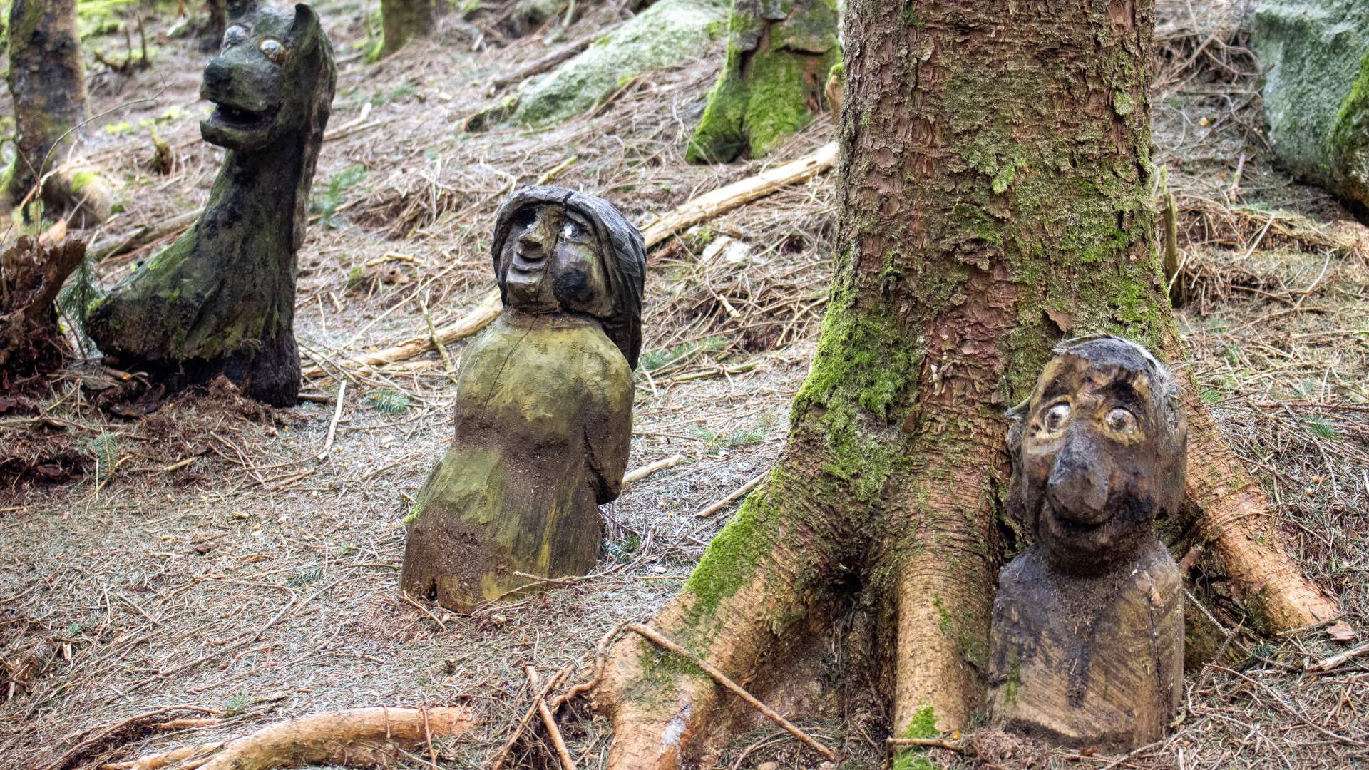 Eventyrskogen i Årdal