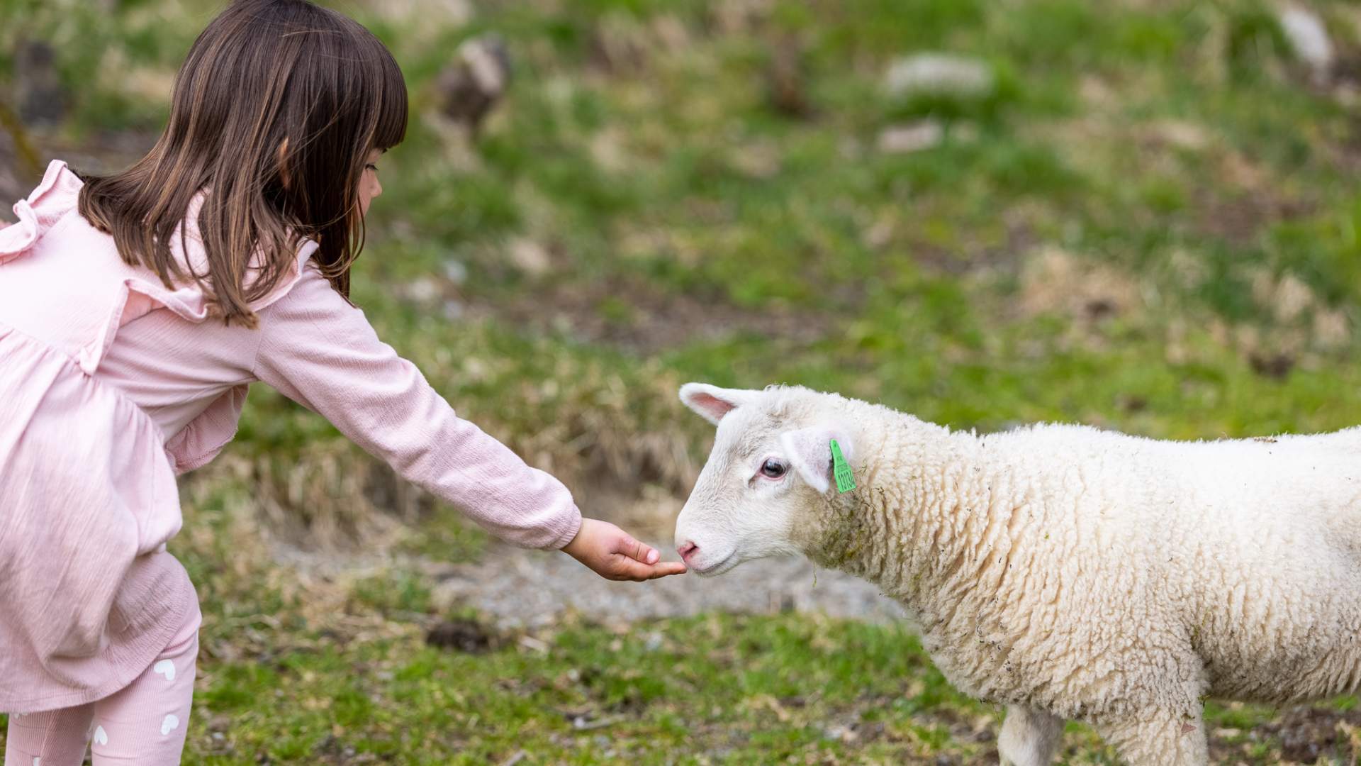 Fossane Gard i Hjelmeland