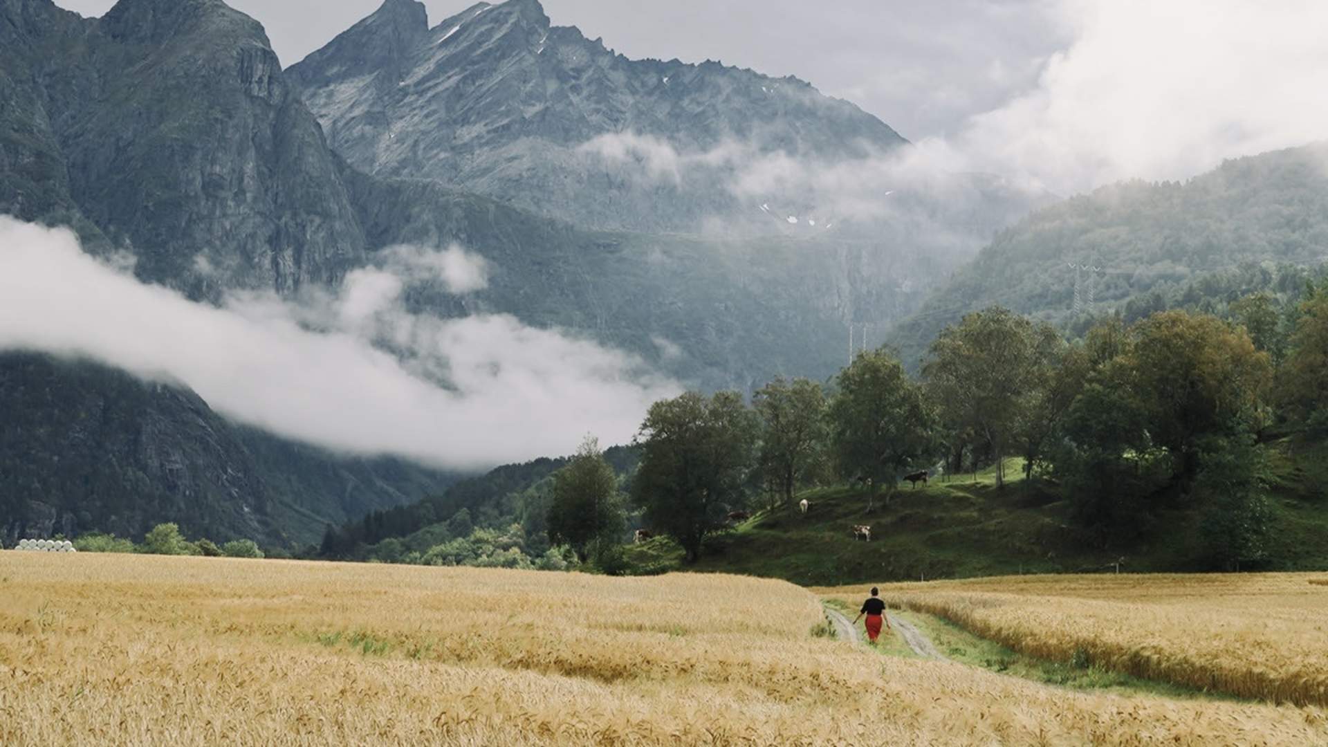 Workation på Ytterbakke gård i Romsdalen