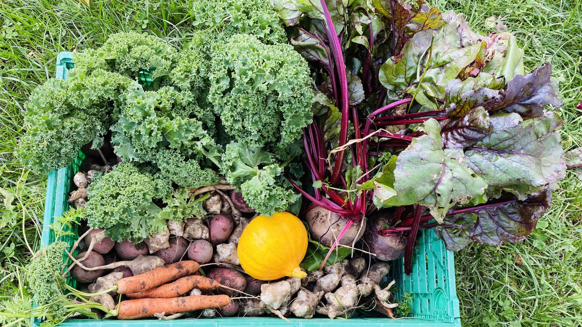 Workation på Ytterbakke gård i Romsdalen