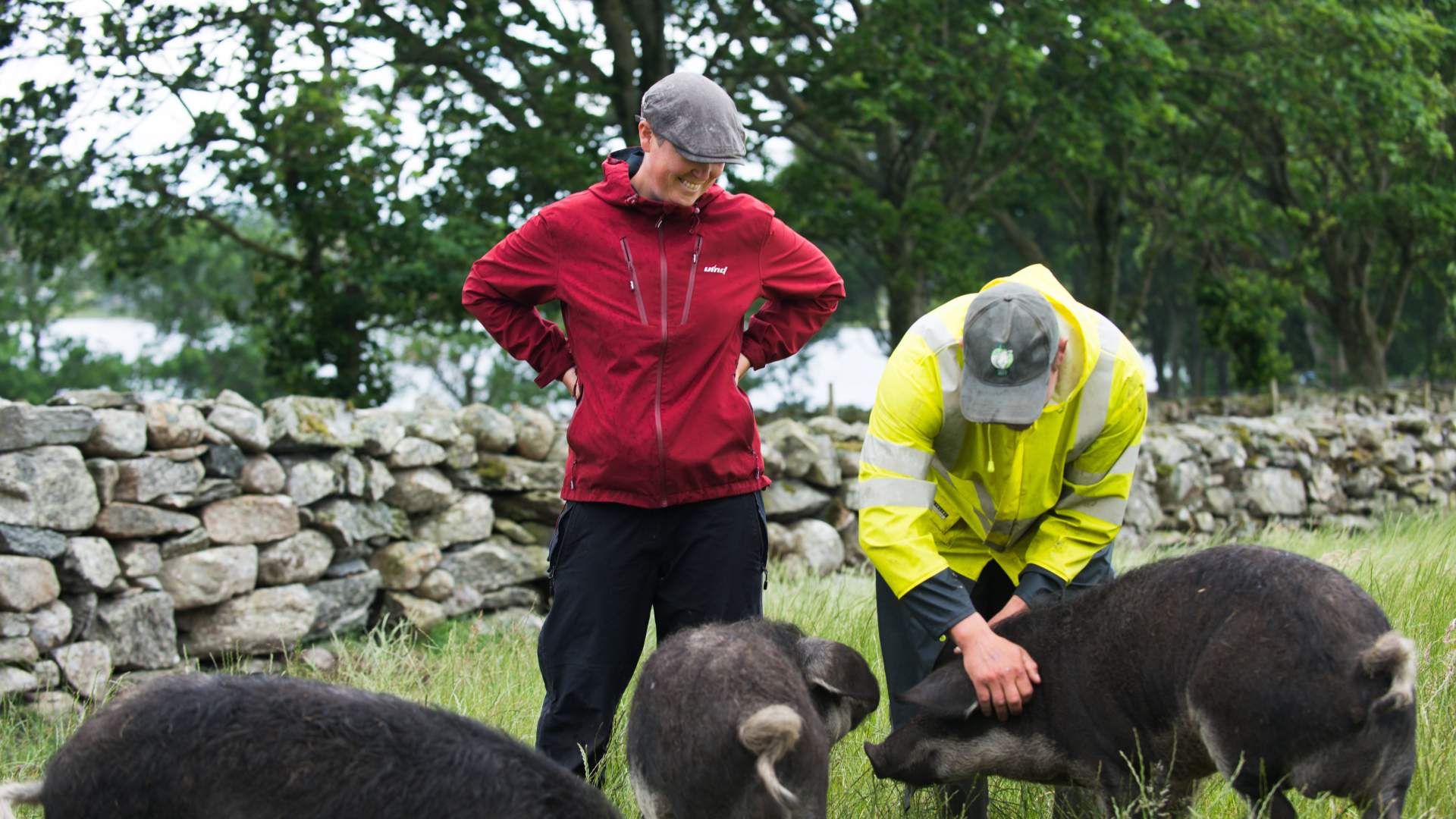 Dyrehold på Utstein