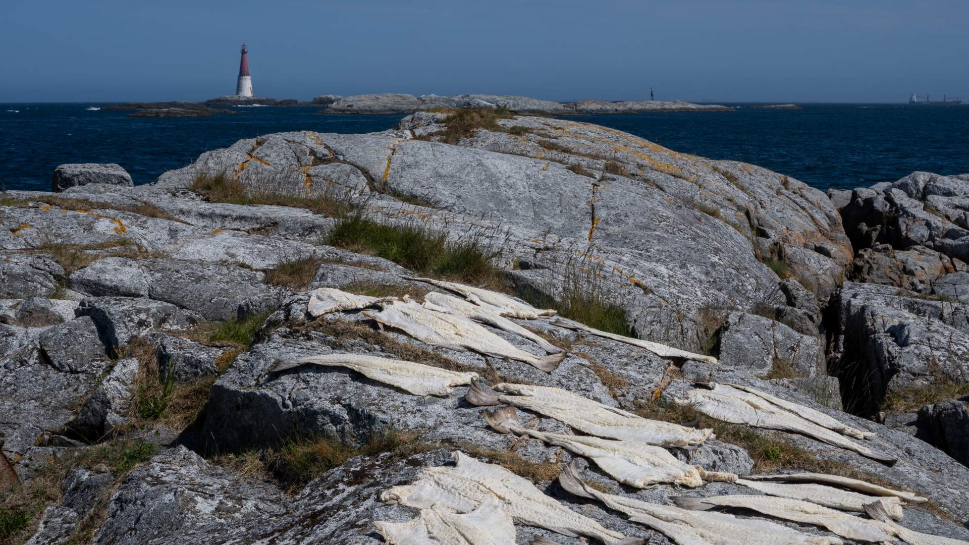 Grip - fiskevær ved Kristiansund