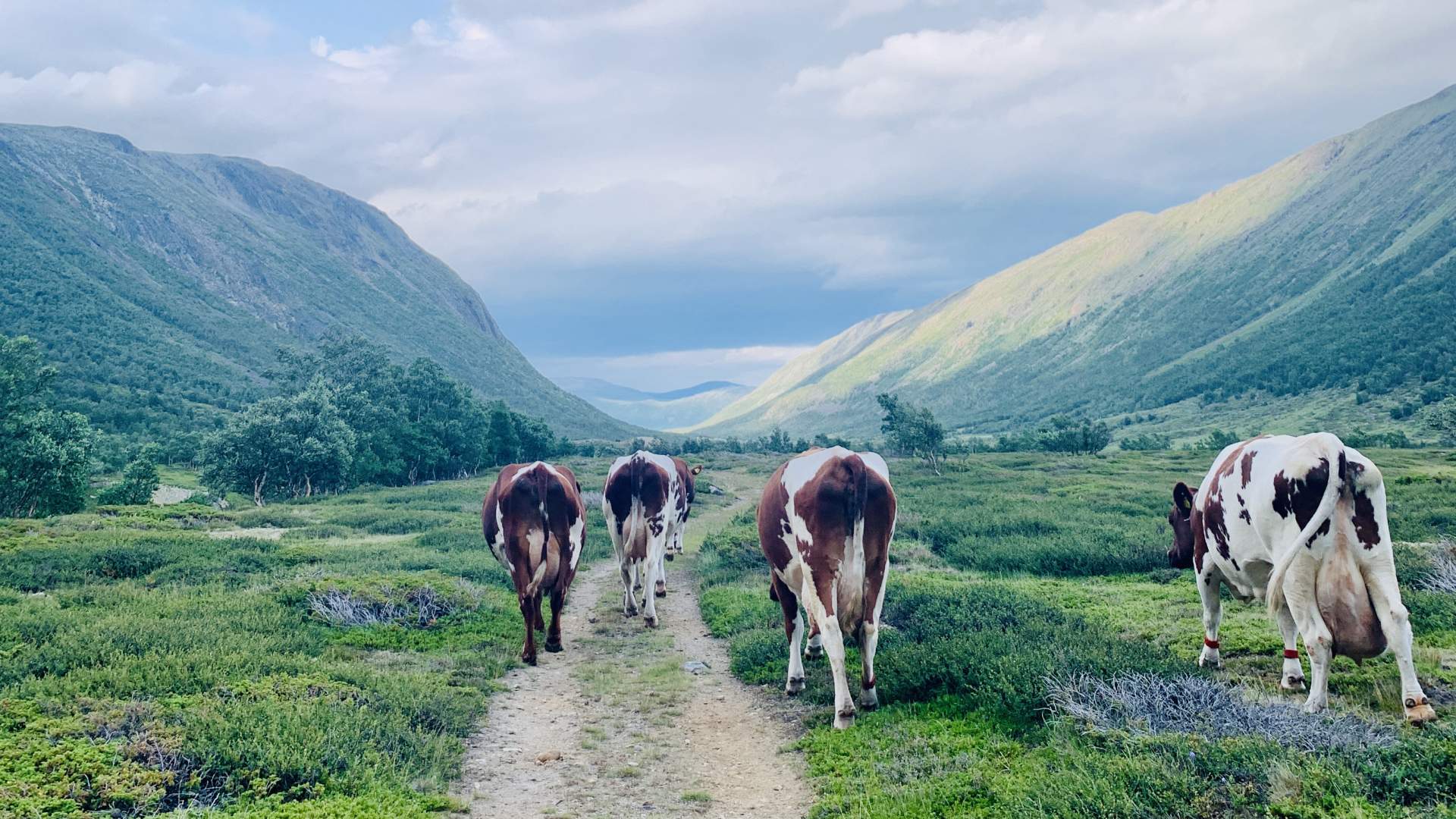 Inner Gammelsetra summer farm