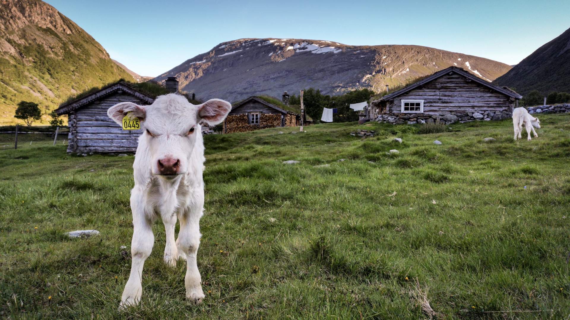 Inner Gammelsetra summer farm
