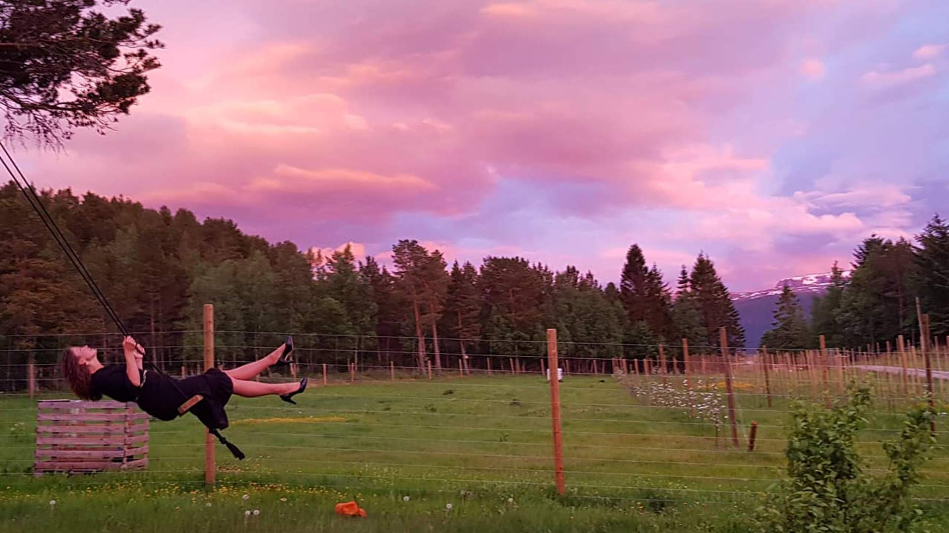 Solnedgang på Solbu Eplegård