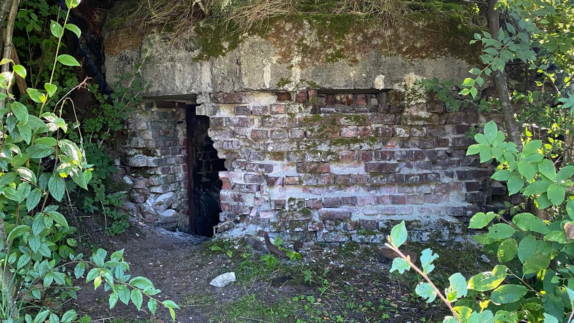 Nordag - turløype langs krigsminne i Saudasjøen