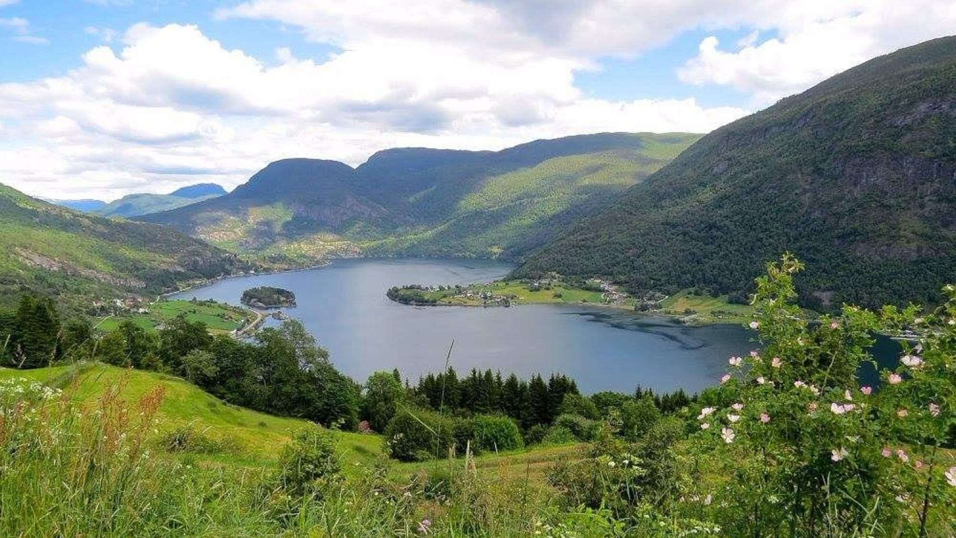 FjordX Kveldscruise Sogndal