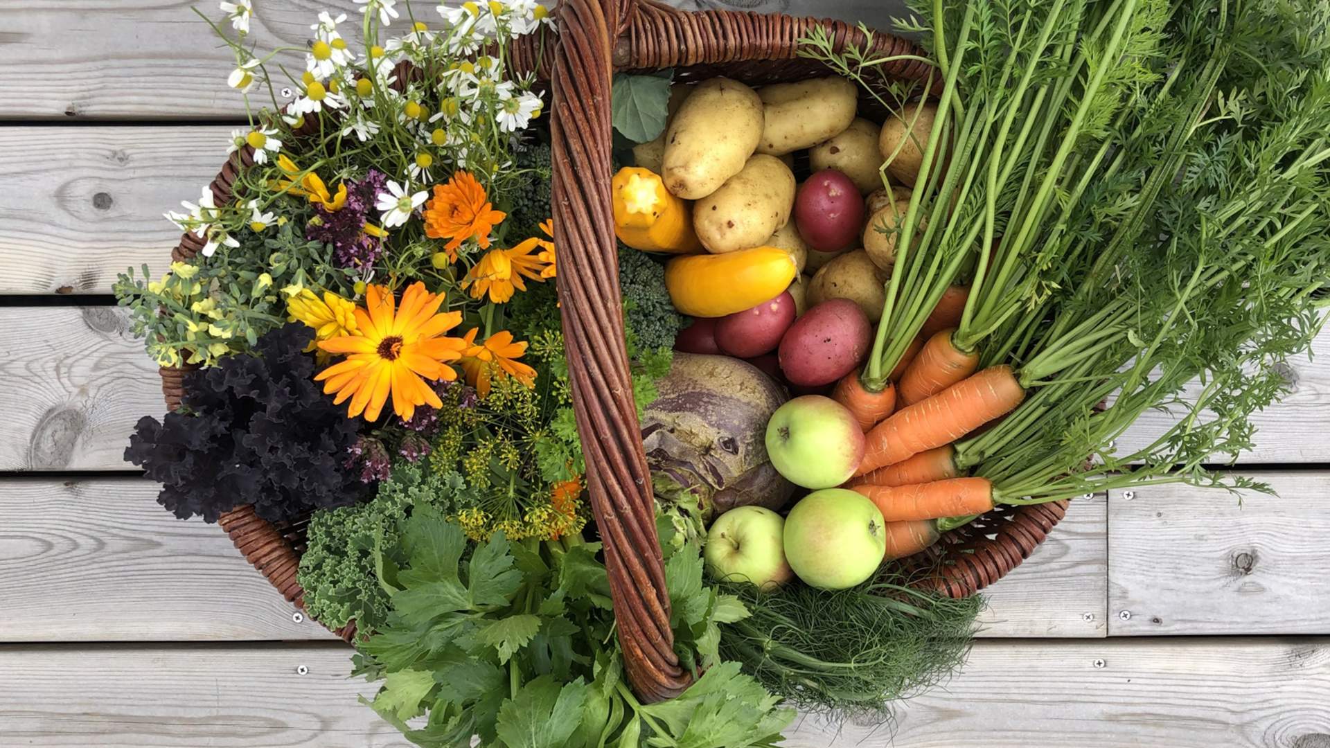 4-dagers sykkeltur med hengekøyeovernatting i Aure