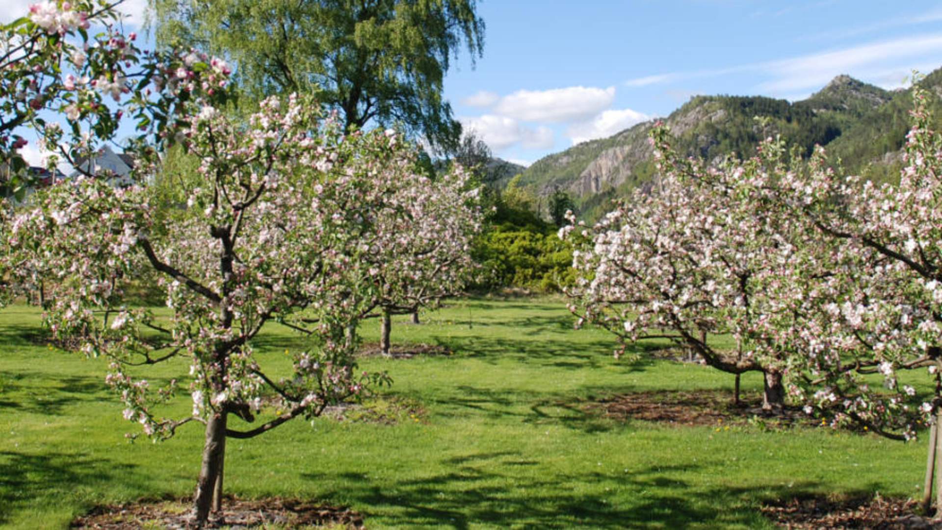 Lund Bygdemusem og Kulturbank