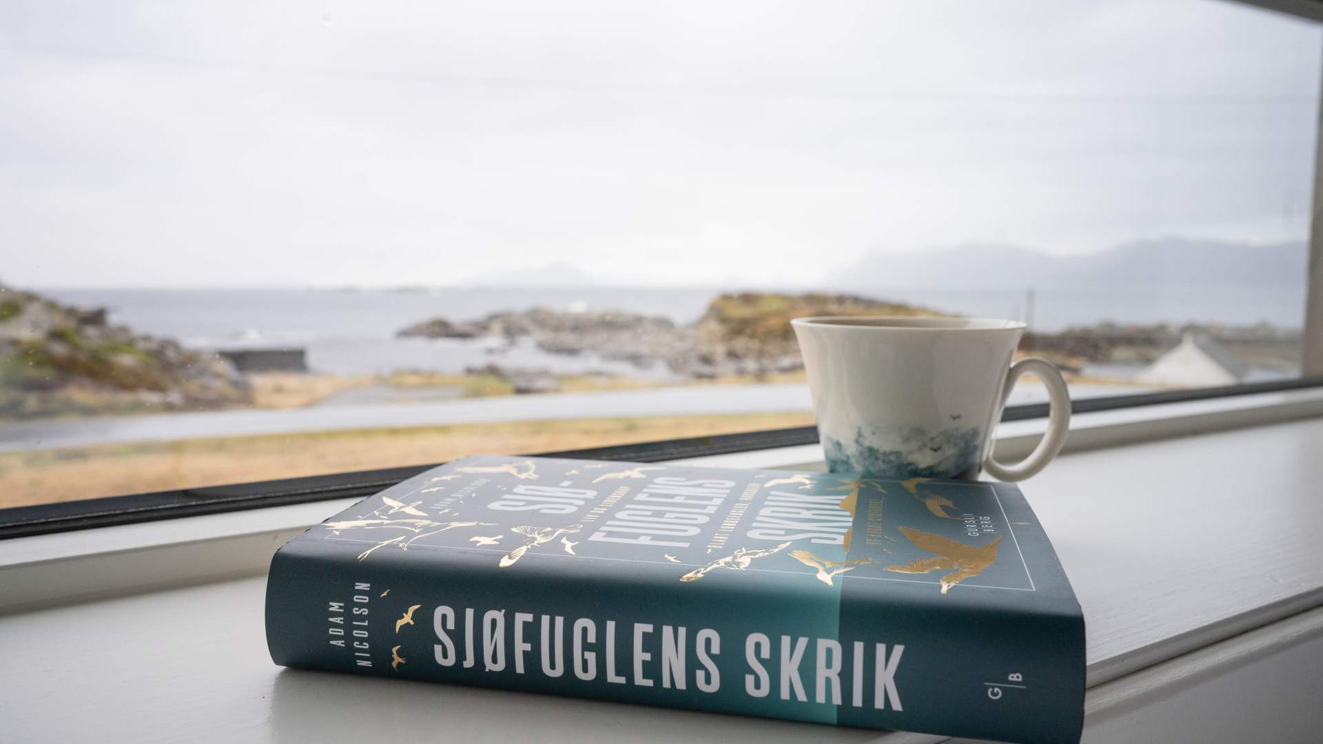 Avslappende utsikt med ei god bok og en kopp te