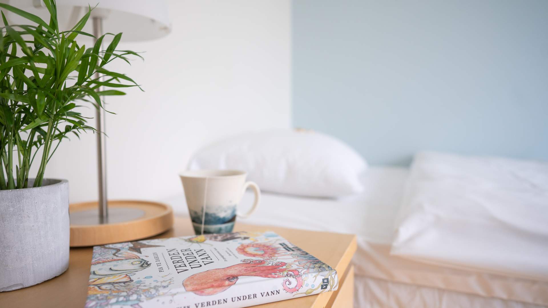 Rolig atmosfære på rommet