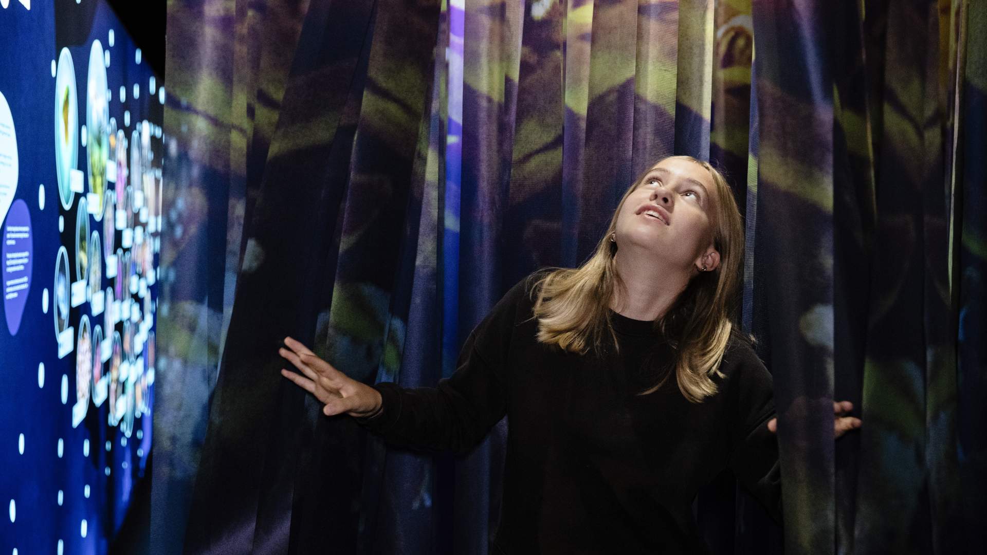 Lær om tareskogen og andre ting som vokser i havet.