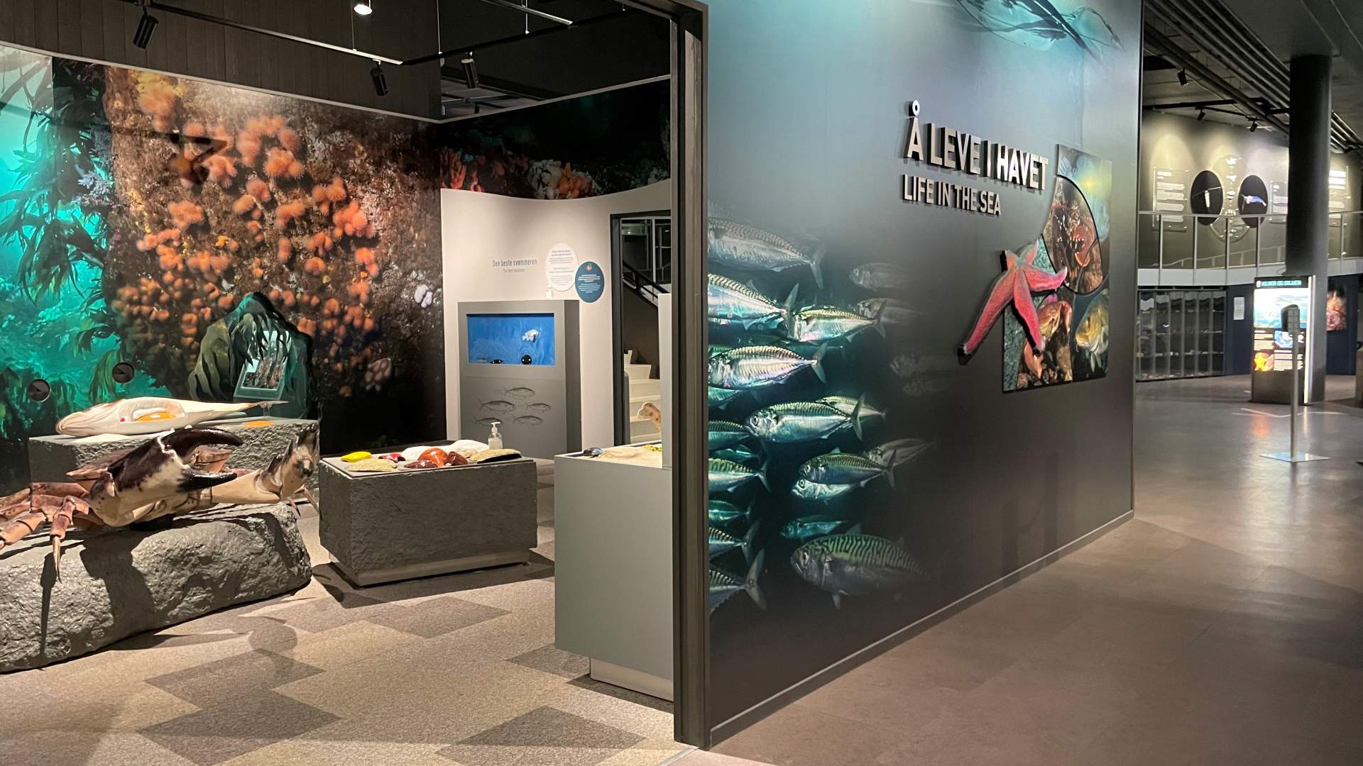 Å leve i havet - her kan du boltre deg i aktiviteter